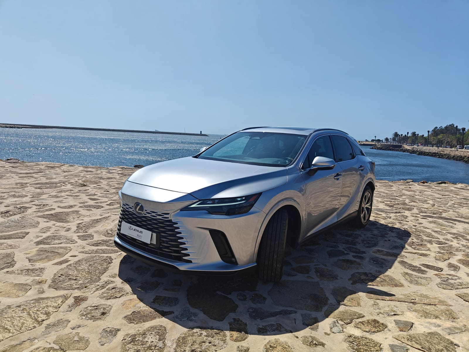 LEXUS RX 450H+ RX 450h+ Comfort