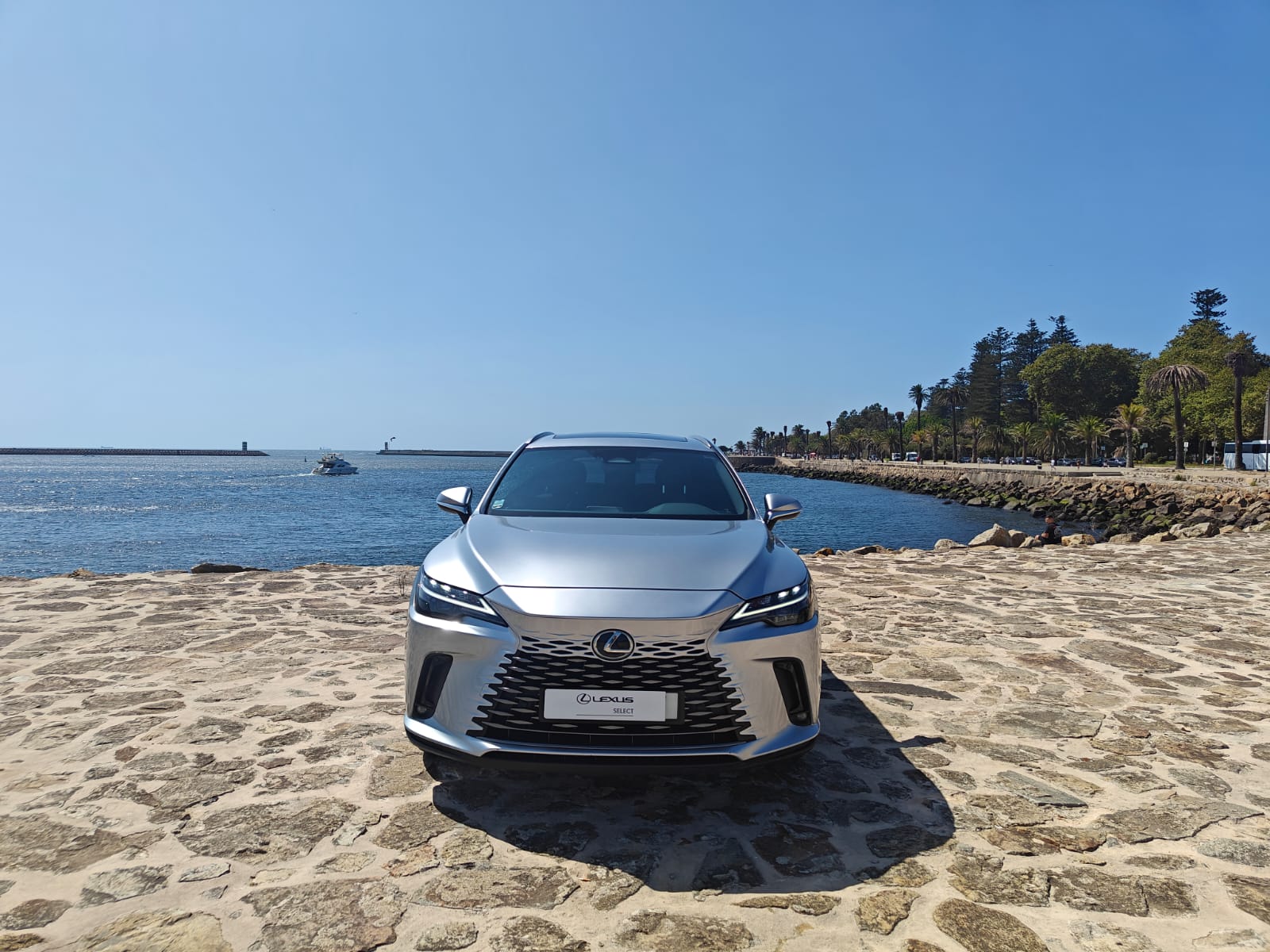 LEXUS RX 450H+ RX 450h+ Comfort