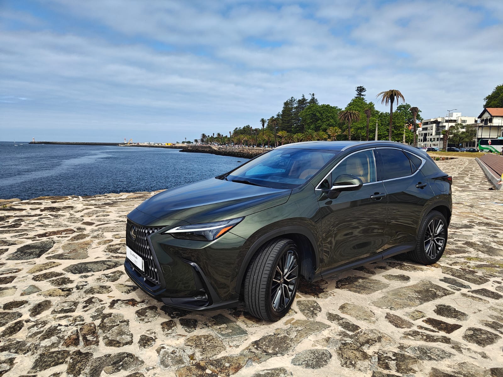 LEXUS NX450H+ NX 450h+ Luxury