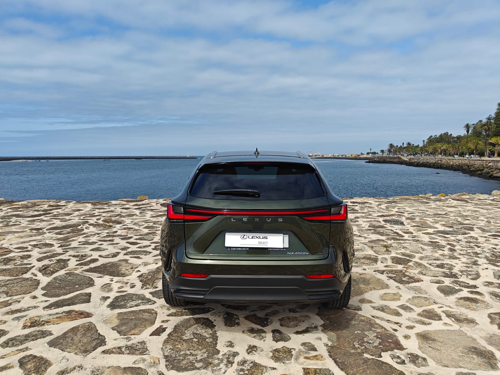 LEXUS NX450H+ NX 450h+ Luxury