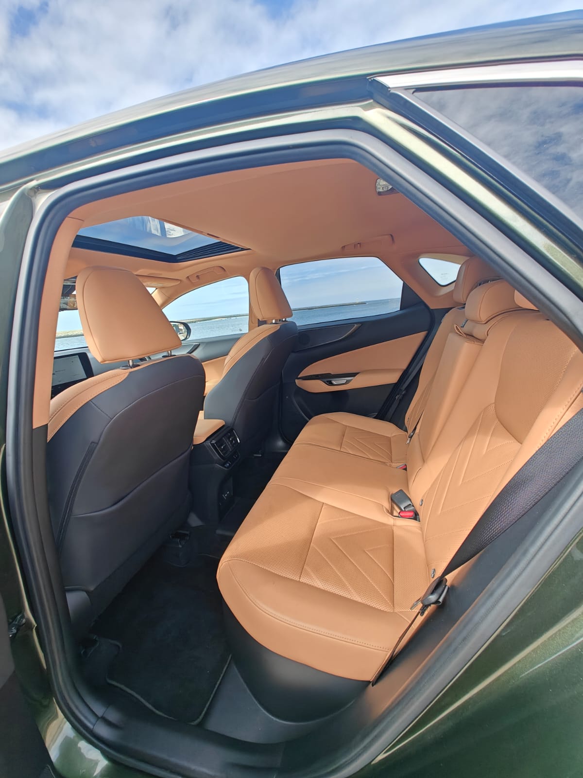 LEXUS NX450H+ NX 450h+ Luxury