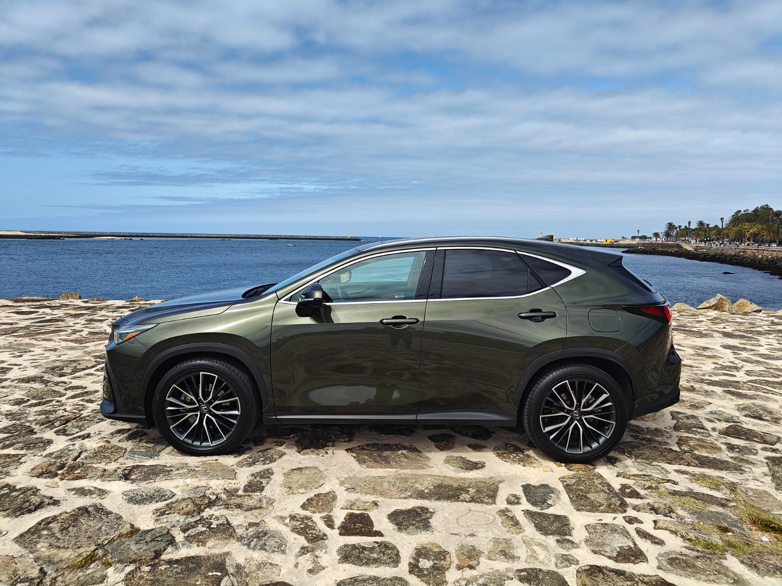 LEXUS NX450H+ NX 450h+ Luxury