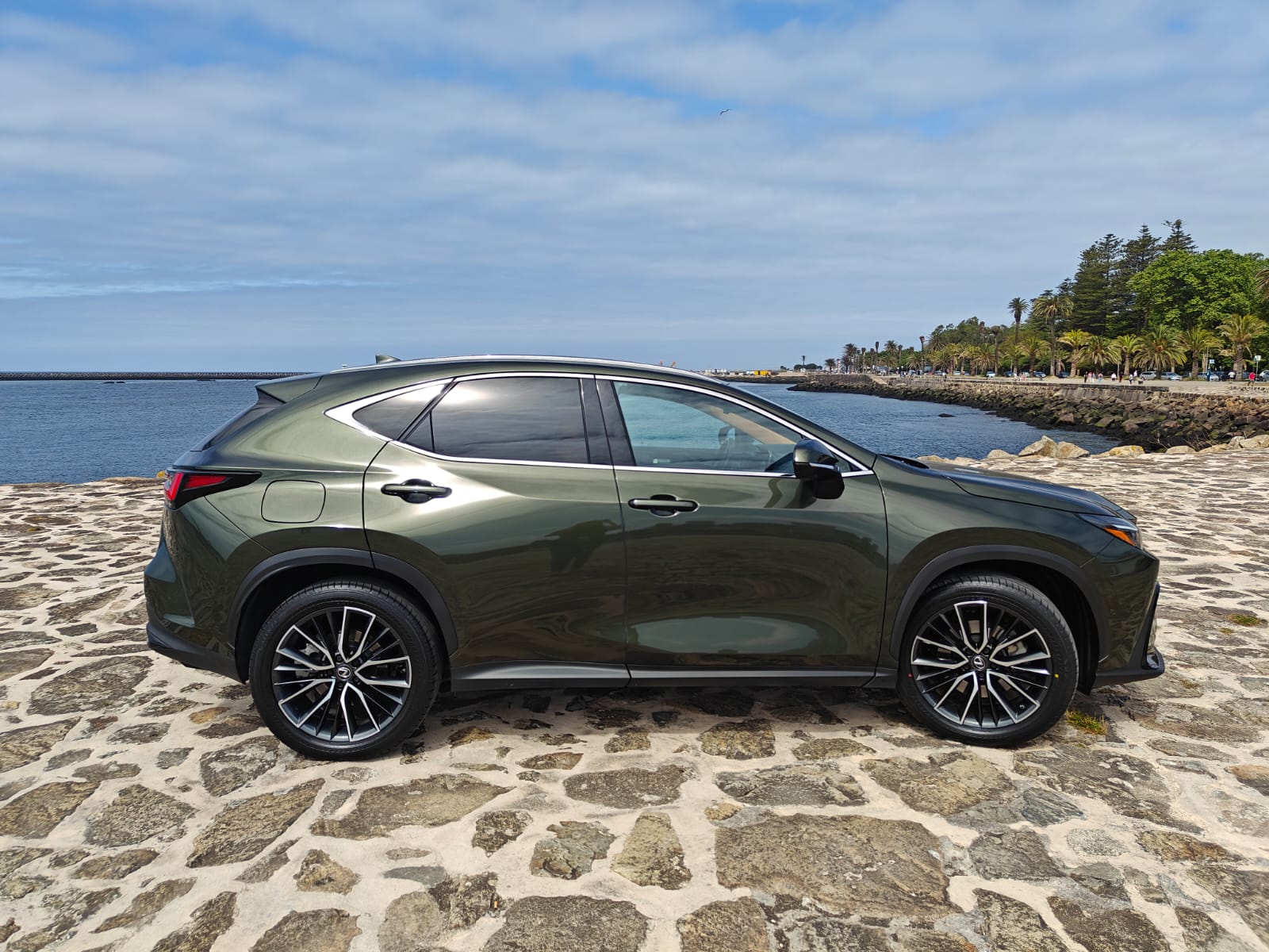 LEXUS NX450H+ NX 450h+ Luxury