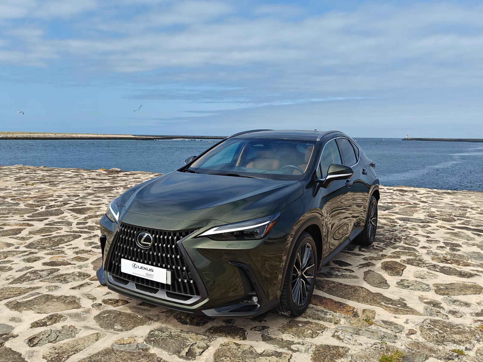 LEXUS NX450H+ NX 450h+ Luxury