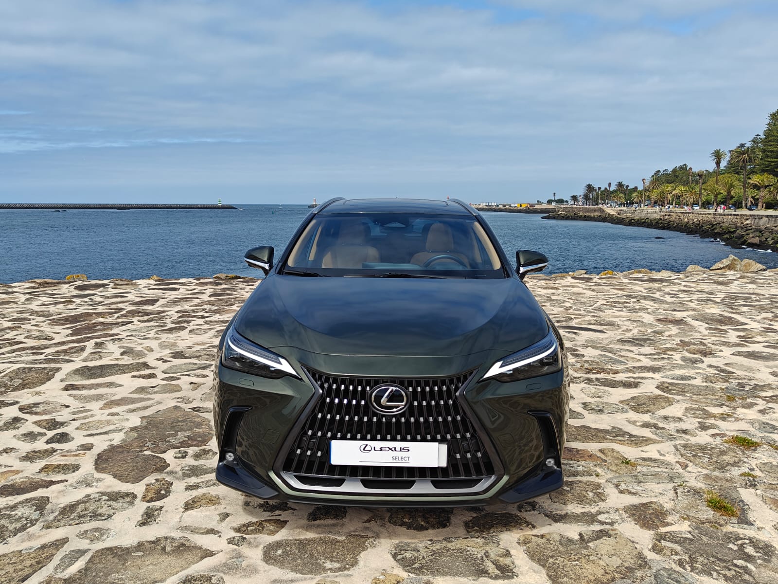 LEXUS NX450H+ NX 450h+ Luxury