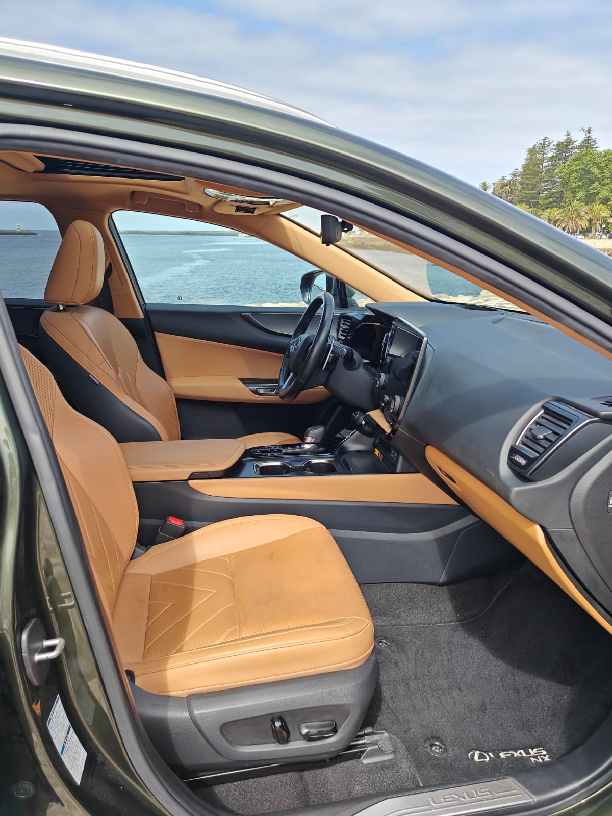 LEXUS NX450H+ NX 450h+ Luxury