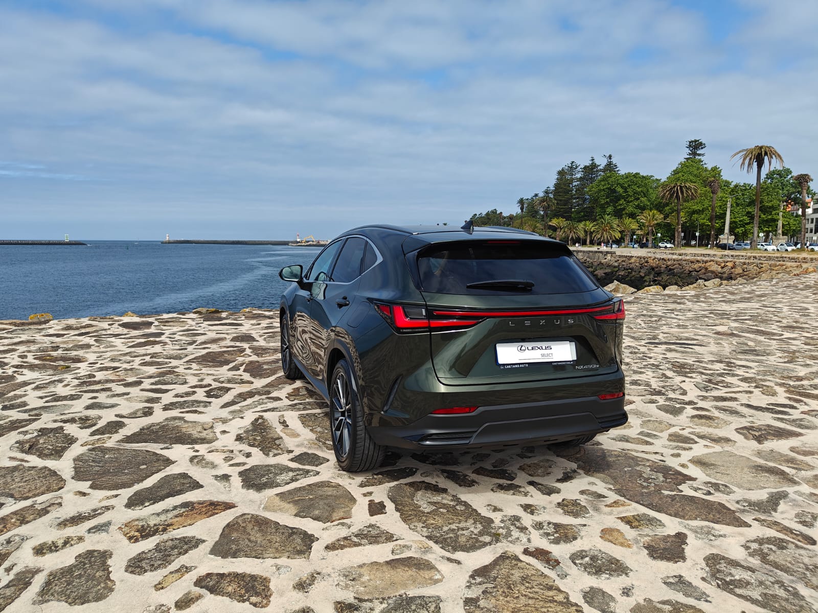 LEXUS NX450H+ NX 450h+ Luxury