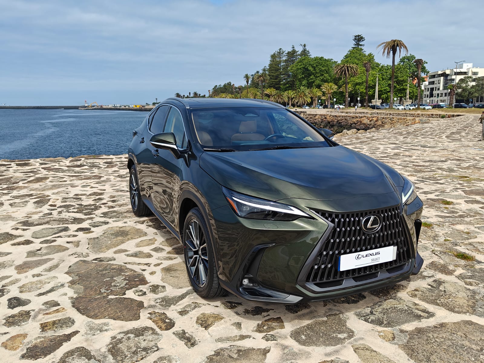 LEXUS NX450H+ NX 450h+ Luxury