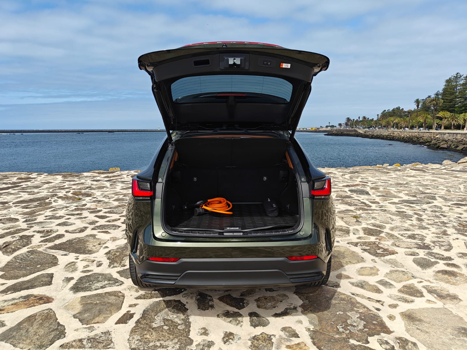 LEXUS NX450H+ NX 450h+ Luxury