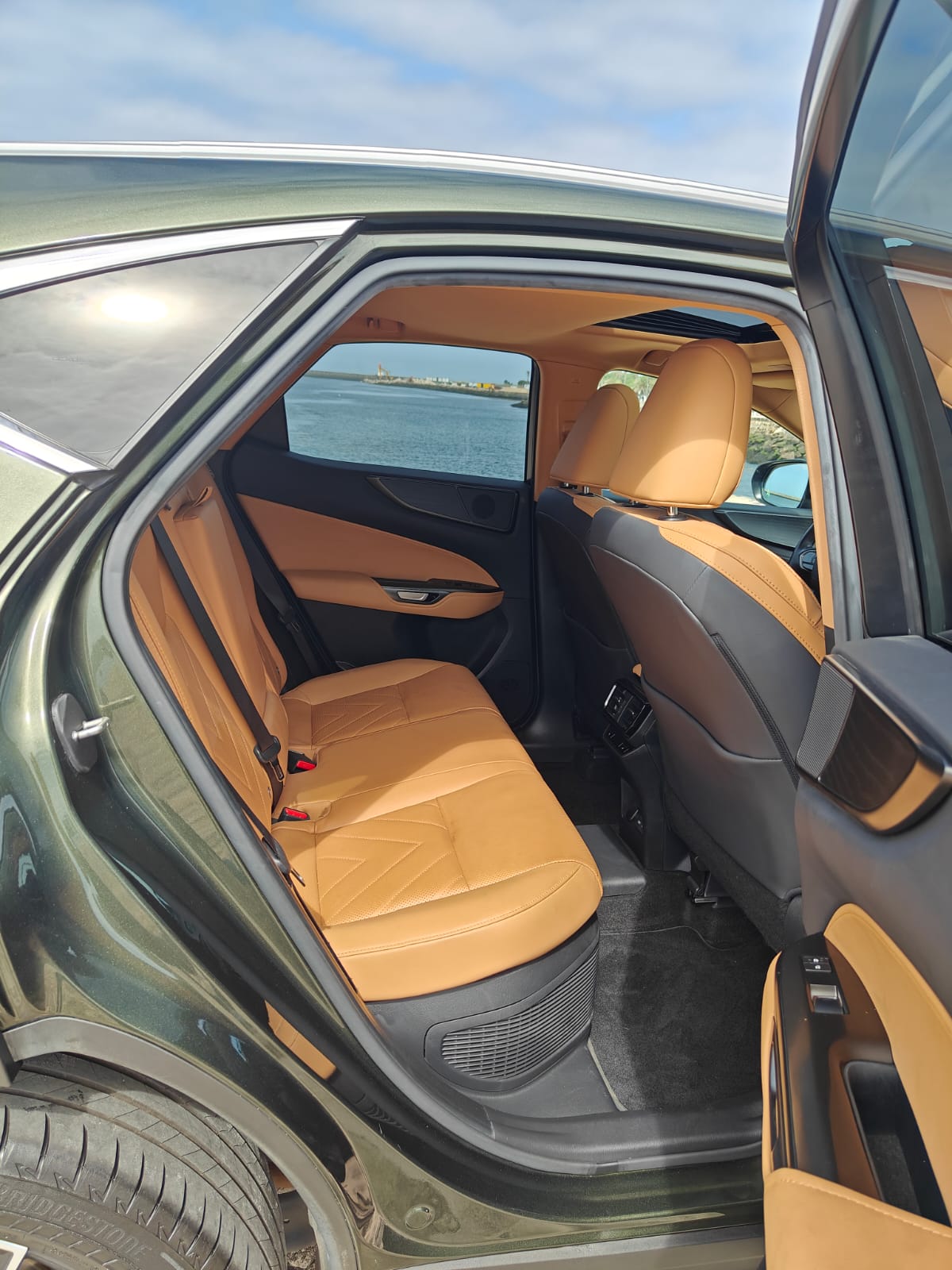LEXUS NX450H+ NX 450h+ Luxury