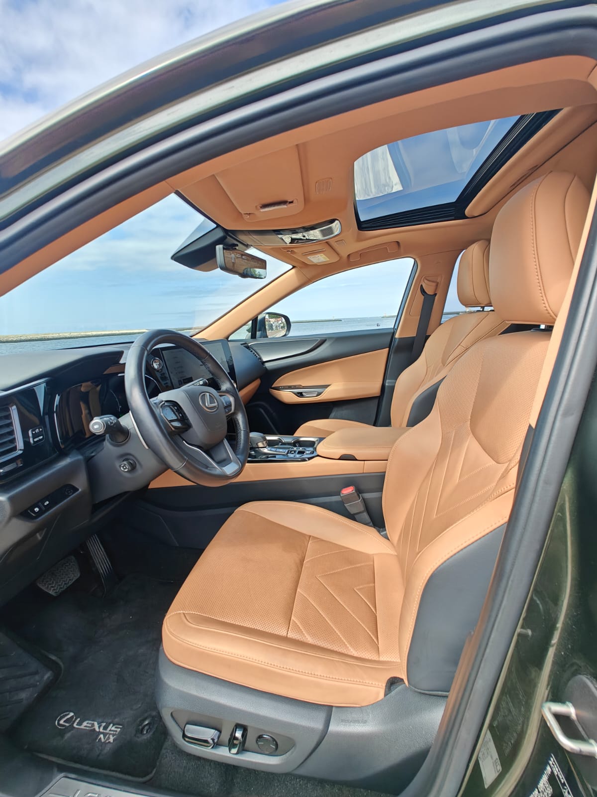 LEXUS NX450H+ NX 450h+ Luxury