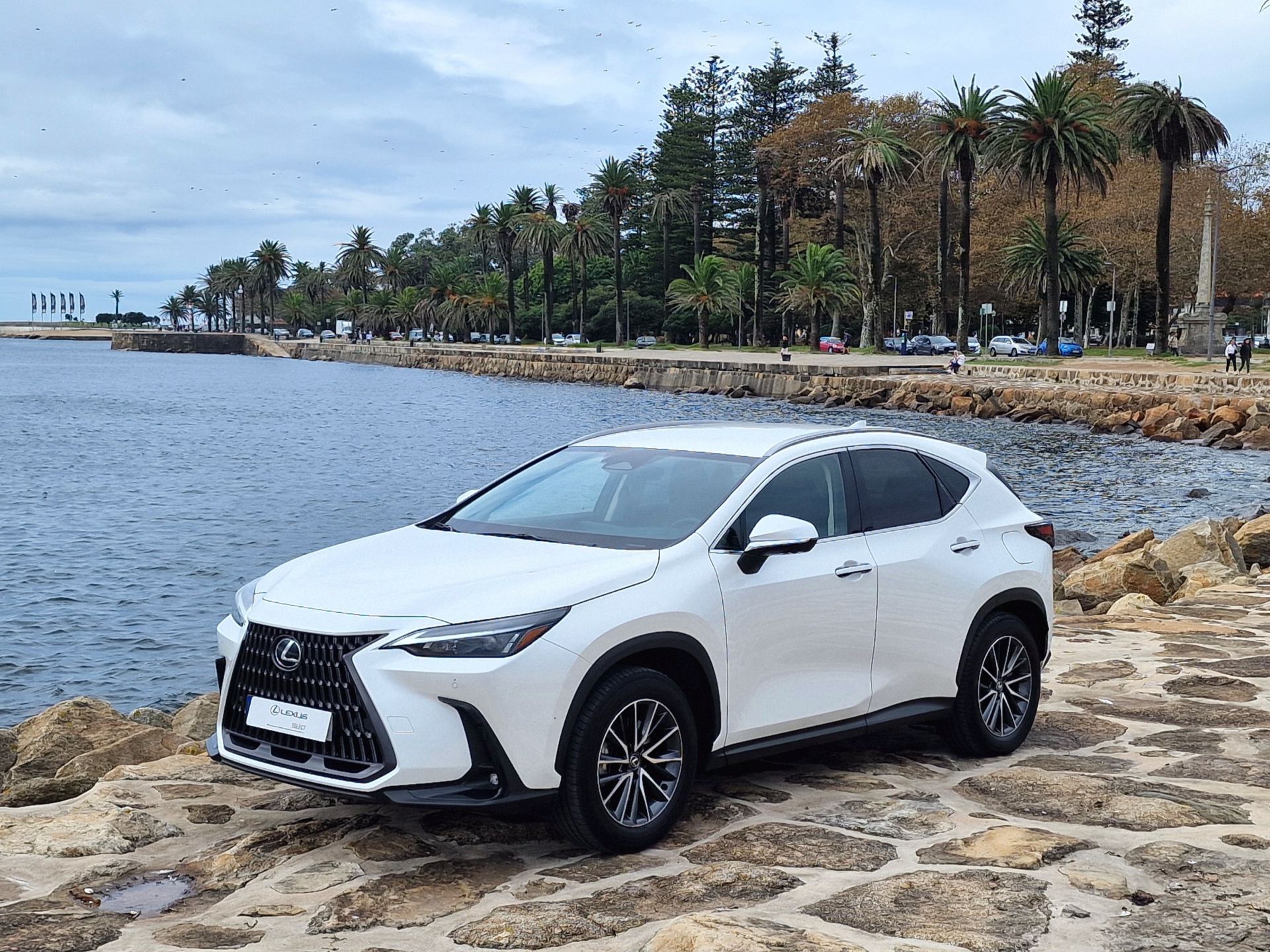 LEXUS NX450H+ NX 450h+ Executive Plus