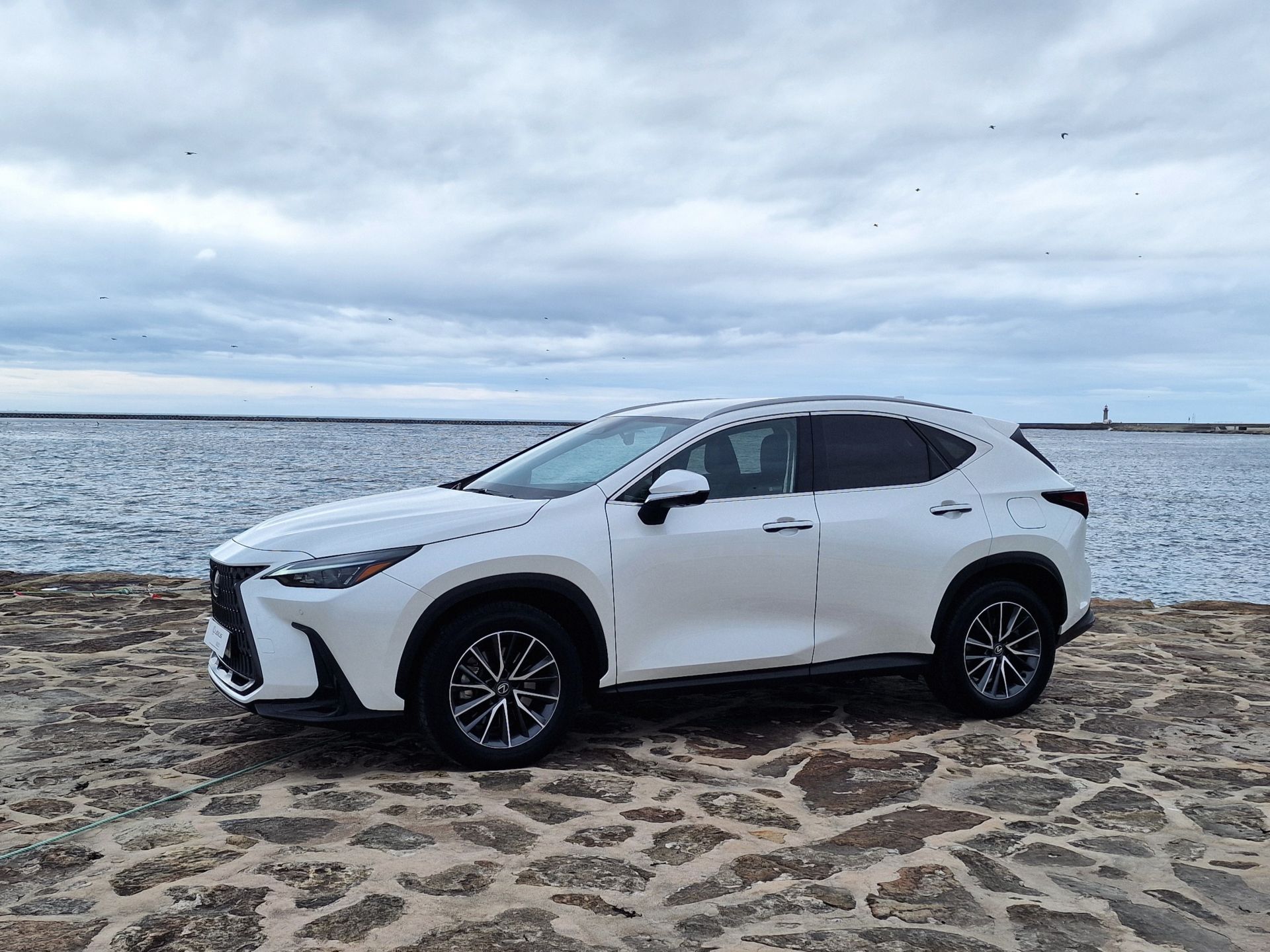 LEXUS NX450H+ NX 450h+ Executive Plus