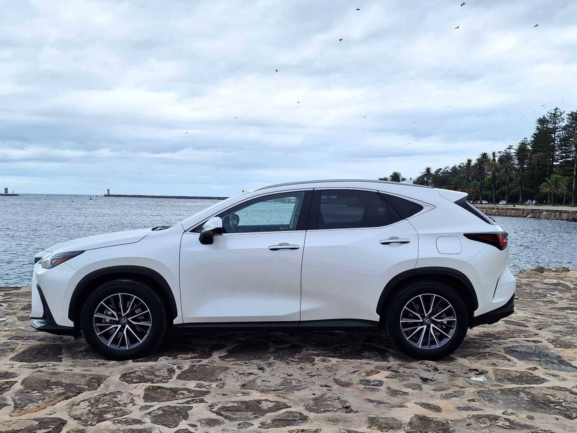 LEXUS NX450H+ NX 450h+ Executive Plus