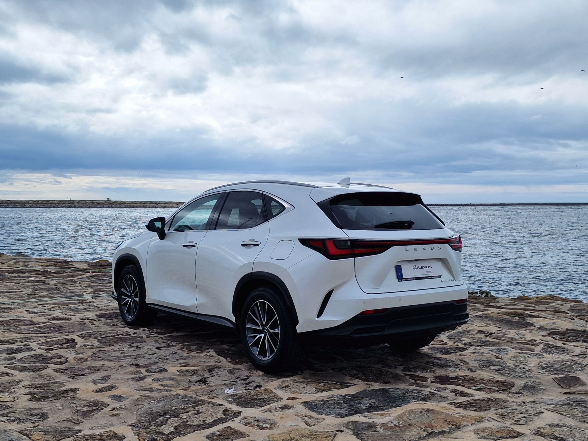 LEXUS NX450H+ NX 450h+ Executive Plus