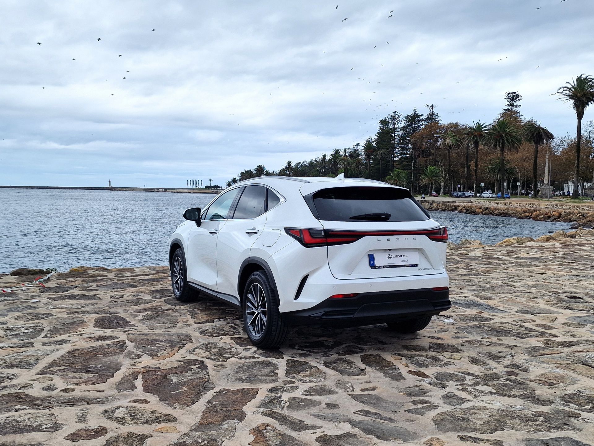 LEXUS NX450H+ NX 450h+ Executive Plus