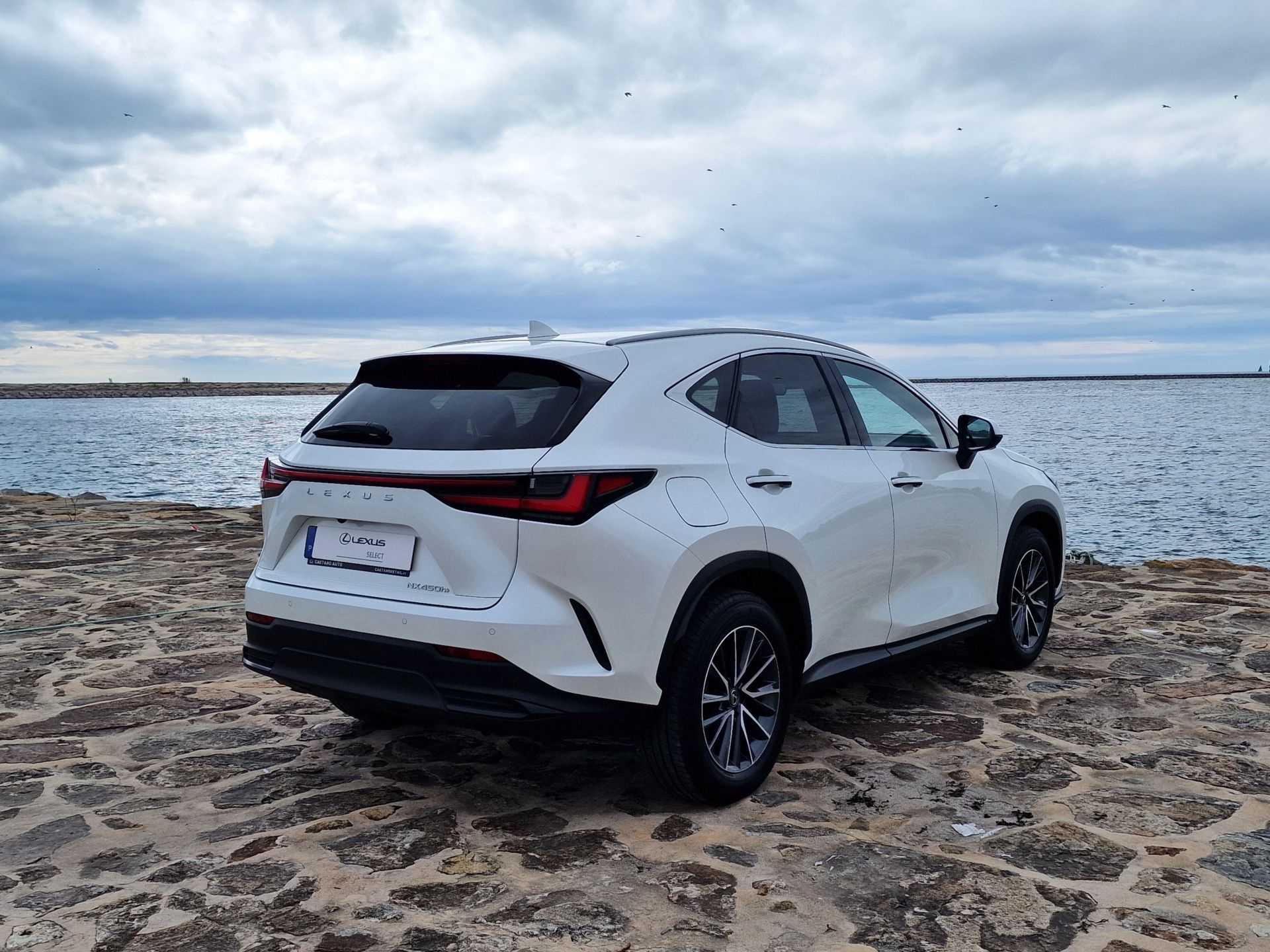 LEXUS NX450H+ NX 450h+ Executive Plus