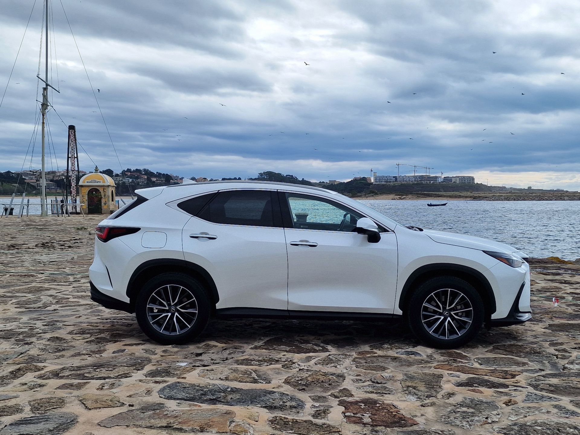 LEXUS NX450H+ NX 450h+ Executive Plus