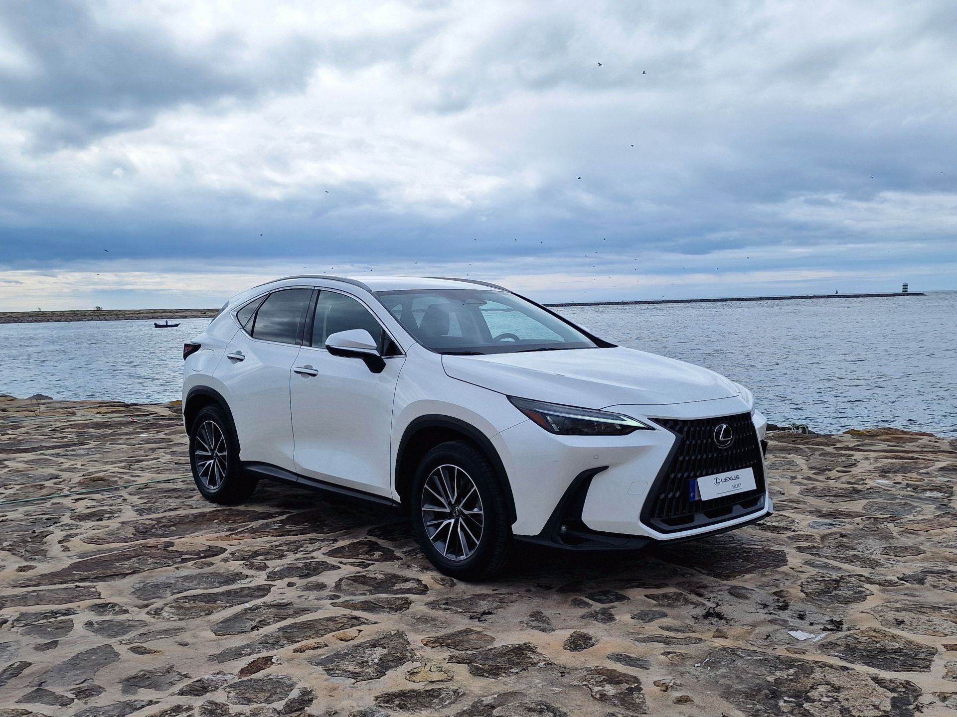 LEXUS NX450H+ NX 450h+ Executive Plus