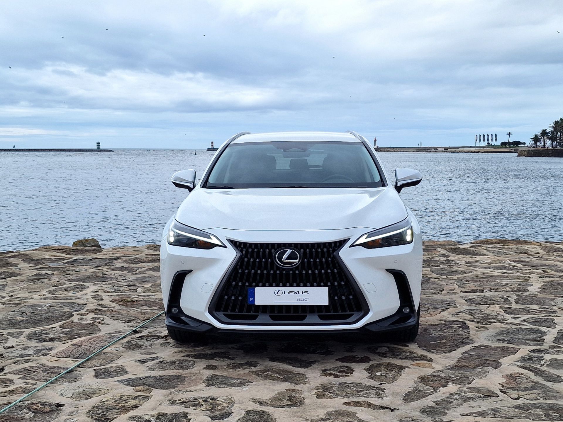 LEXUS NX450H+ NX 450h+ Executive Plus