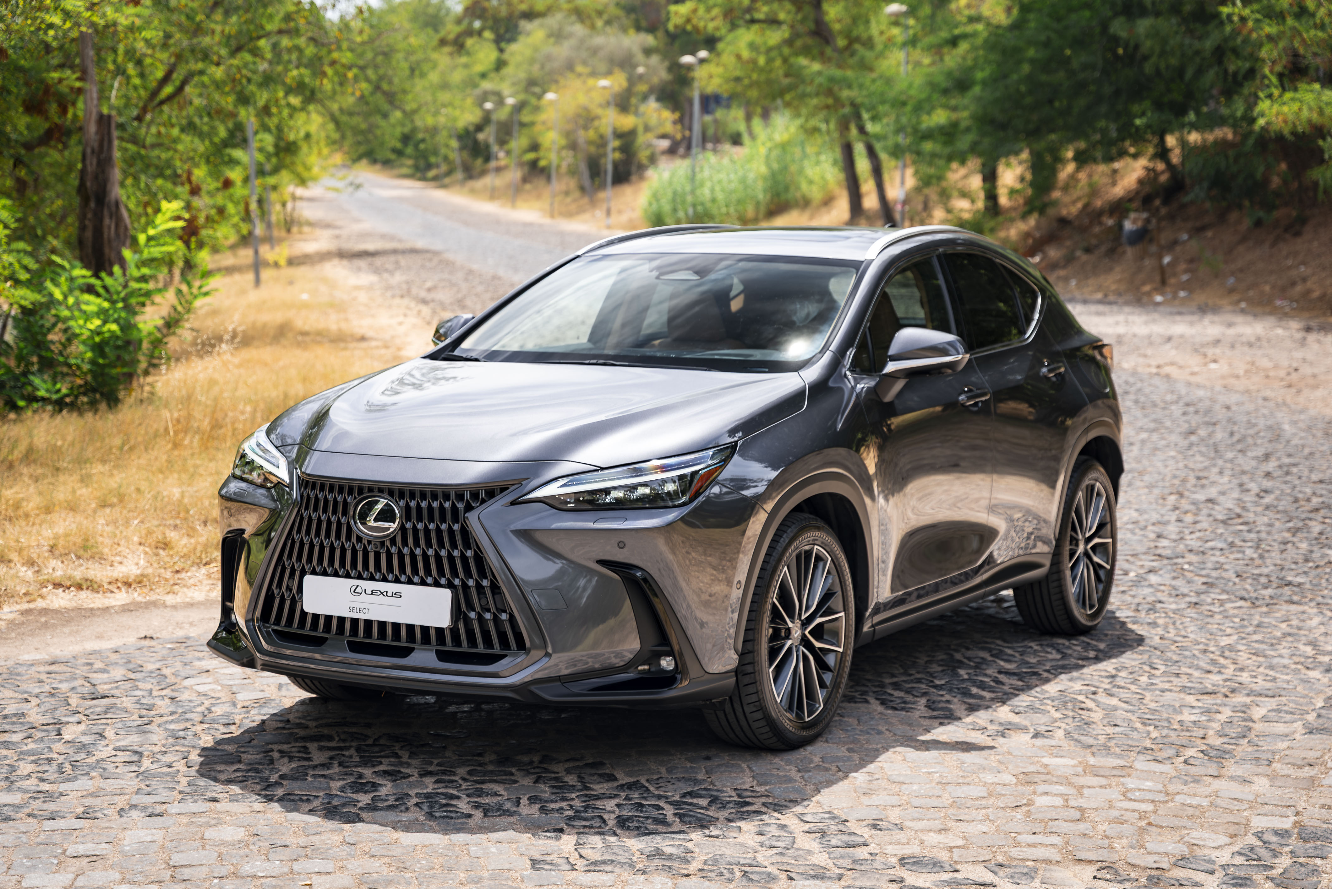 LEXUS NX450H+ NX 450h+ Luxury