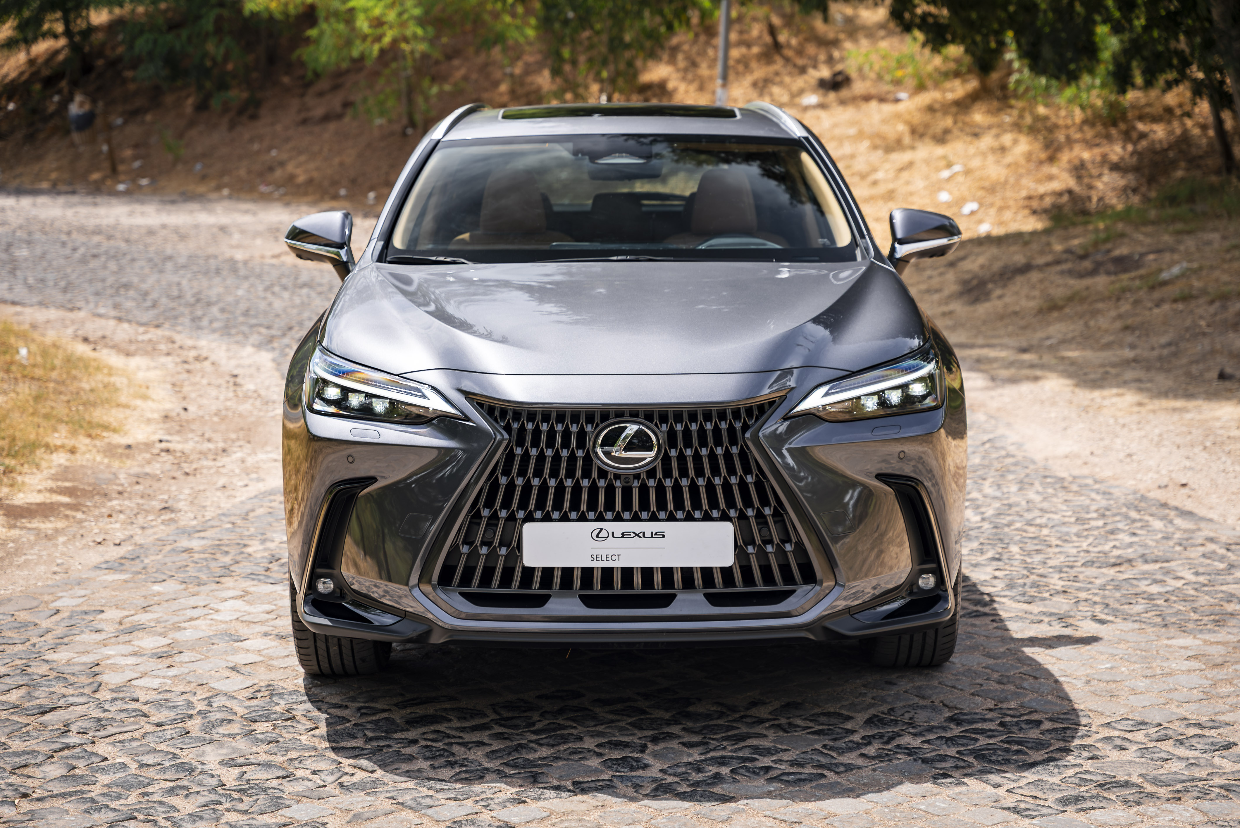 LEXUS NX450H+ NX 450h+ Luxury