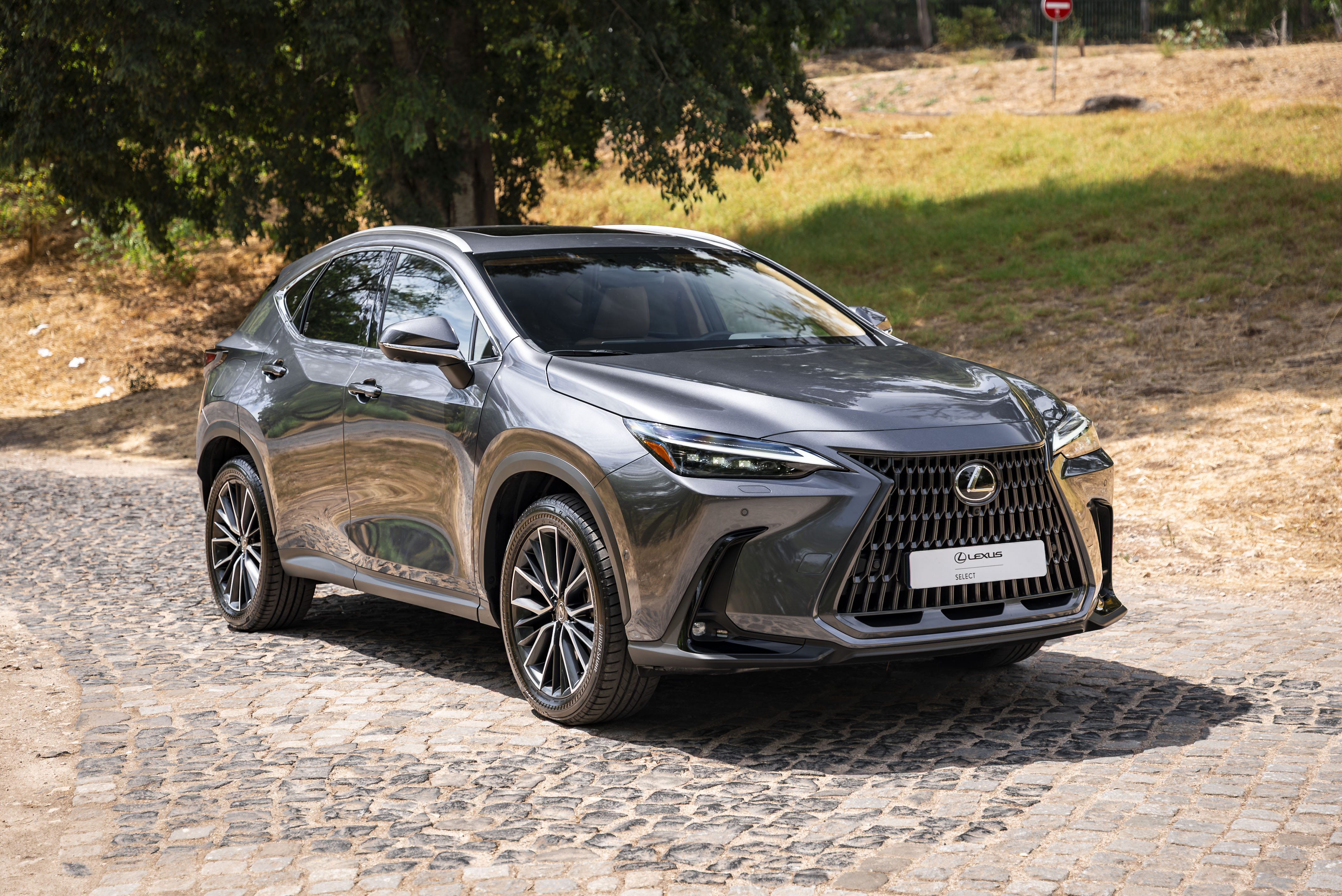 LEXUS NX450H+ NX 450h+ Luxury