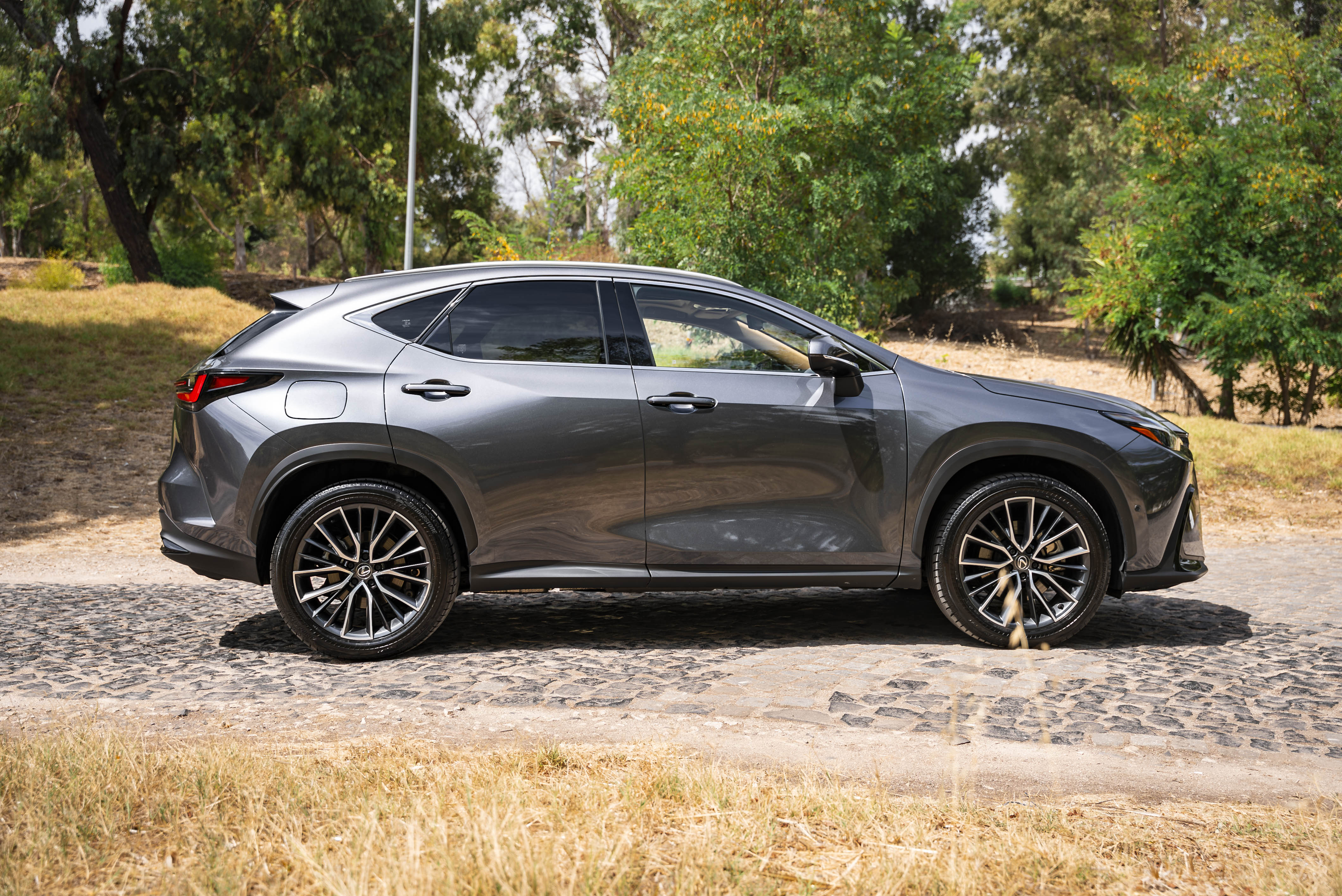 LEXUS NX450H+ NX 450h+ Luxury