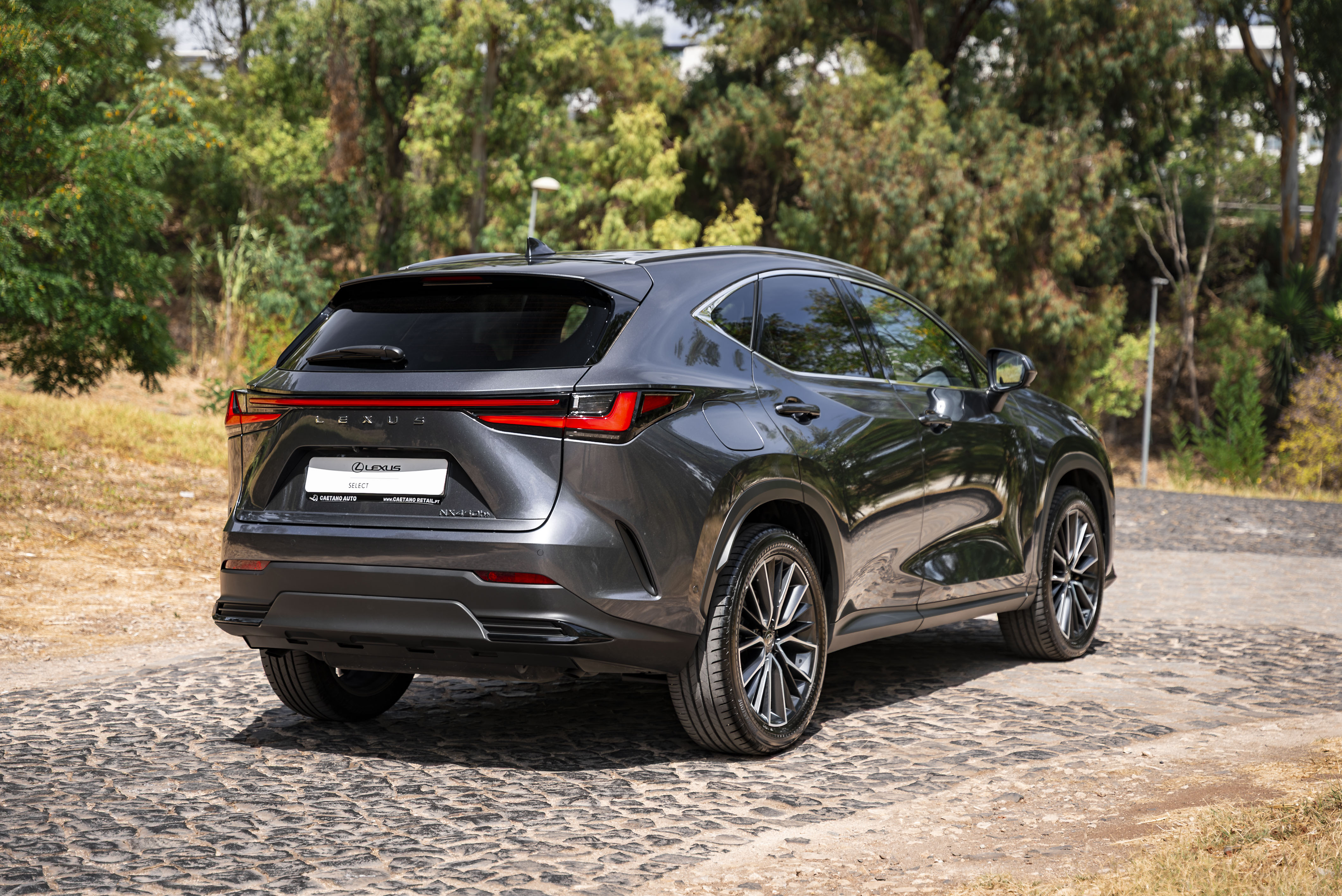 LEXUS NX450H+ NX 450h+ Luxury