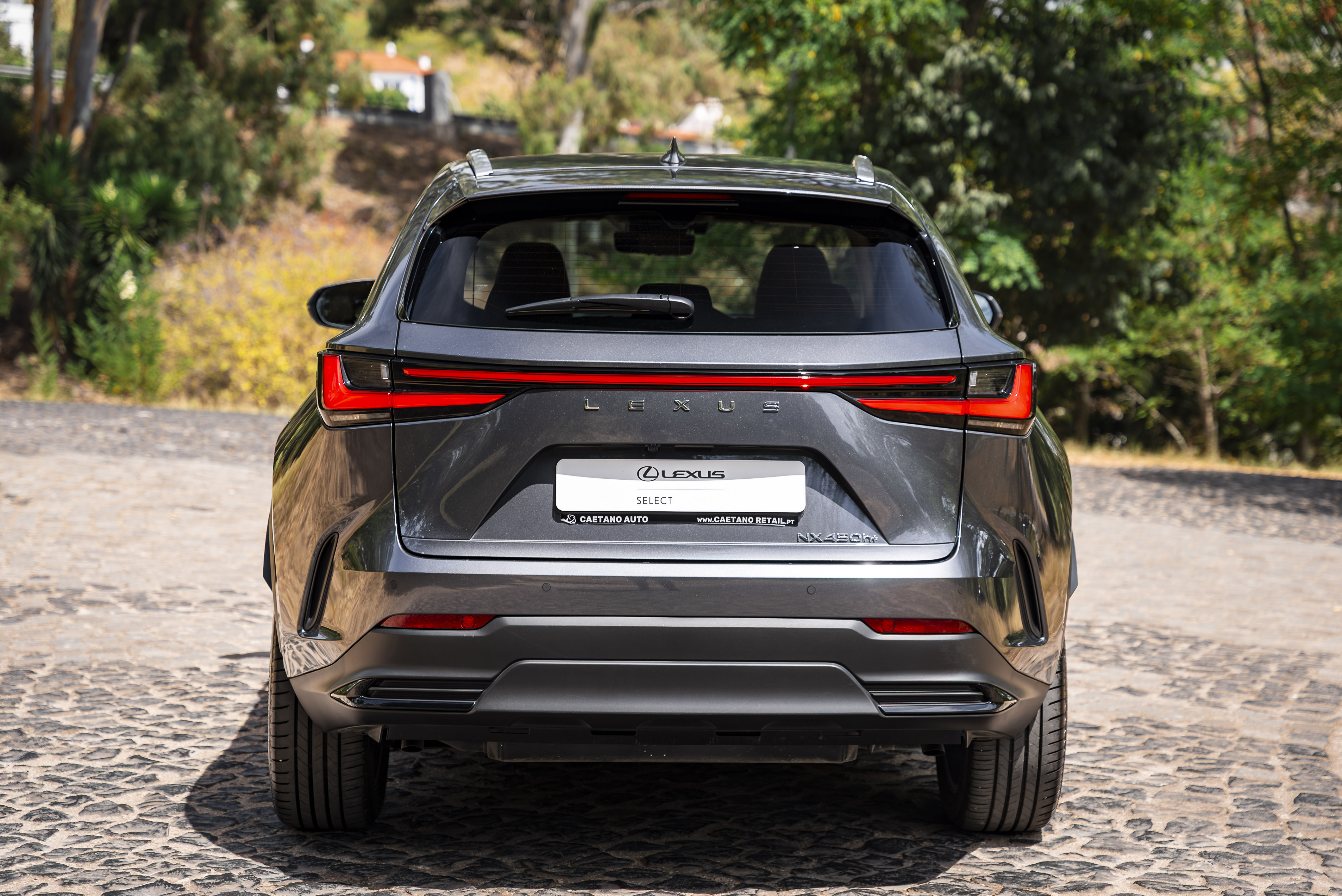 LEXUS NX450H+ NX 450h+ Luxury