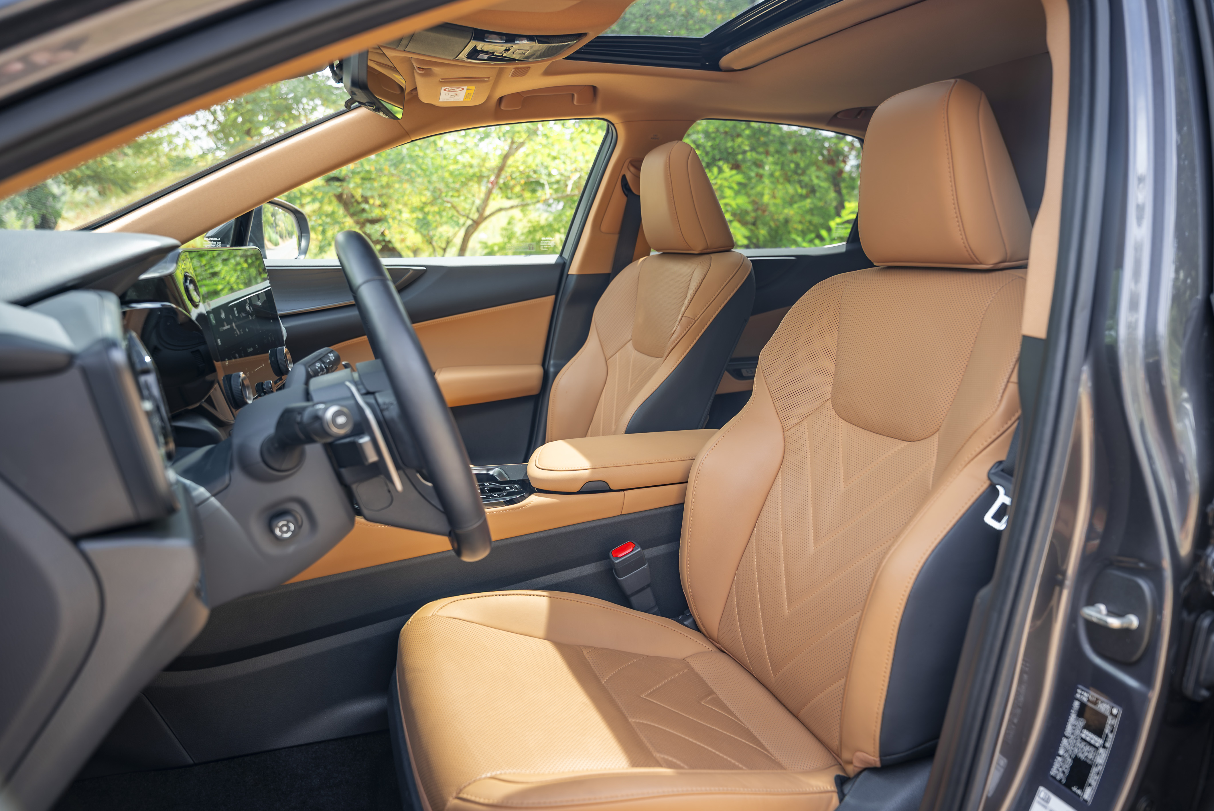 LEXUS NX450H+ NX 450h+ Luxury