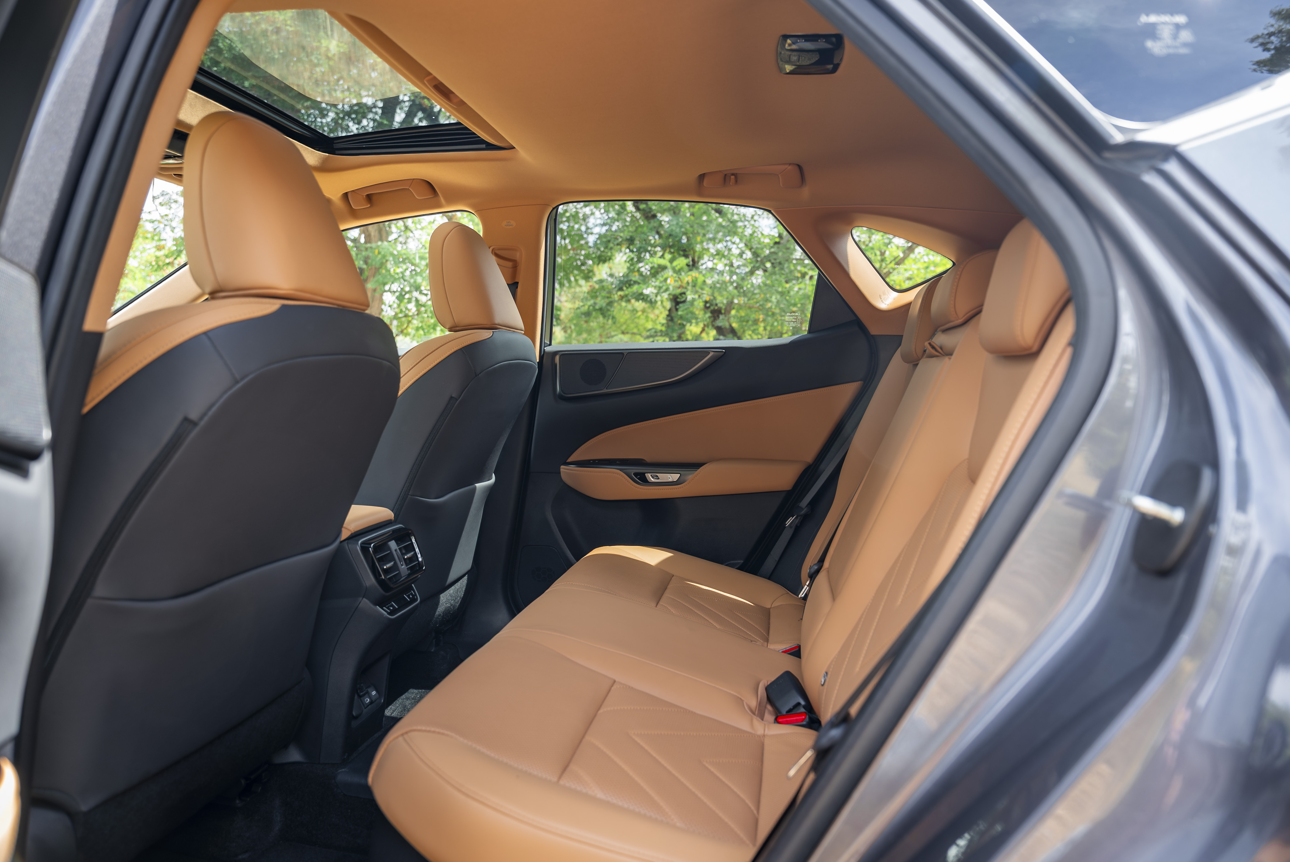 LEXUS NX450H+ NX 450h+ Luxury
