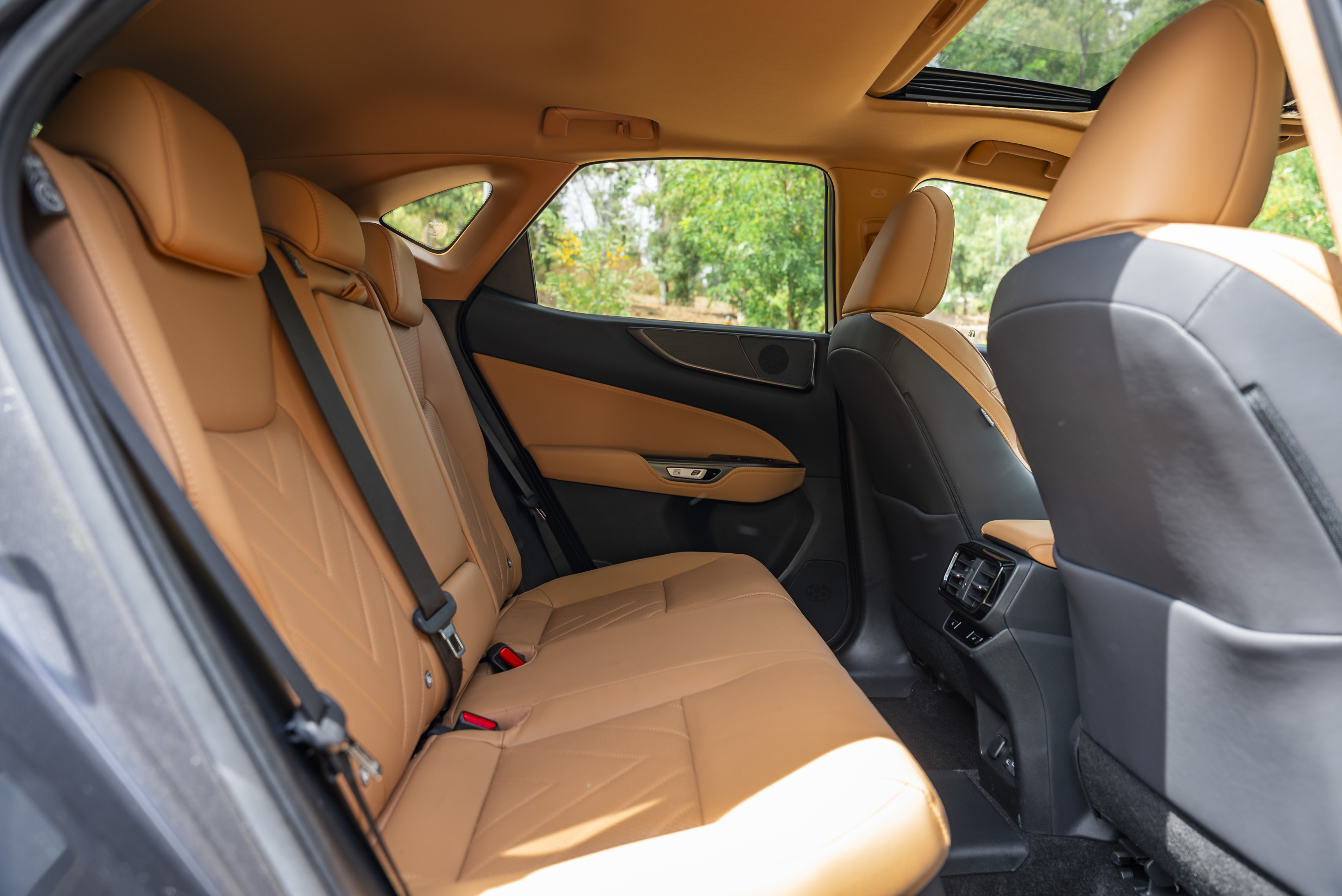 LEXUS NX450H+ NX 450h+ Luxury