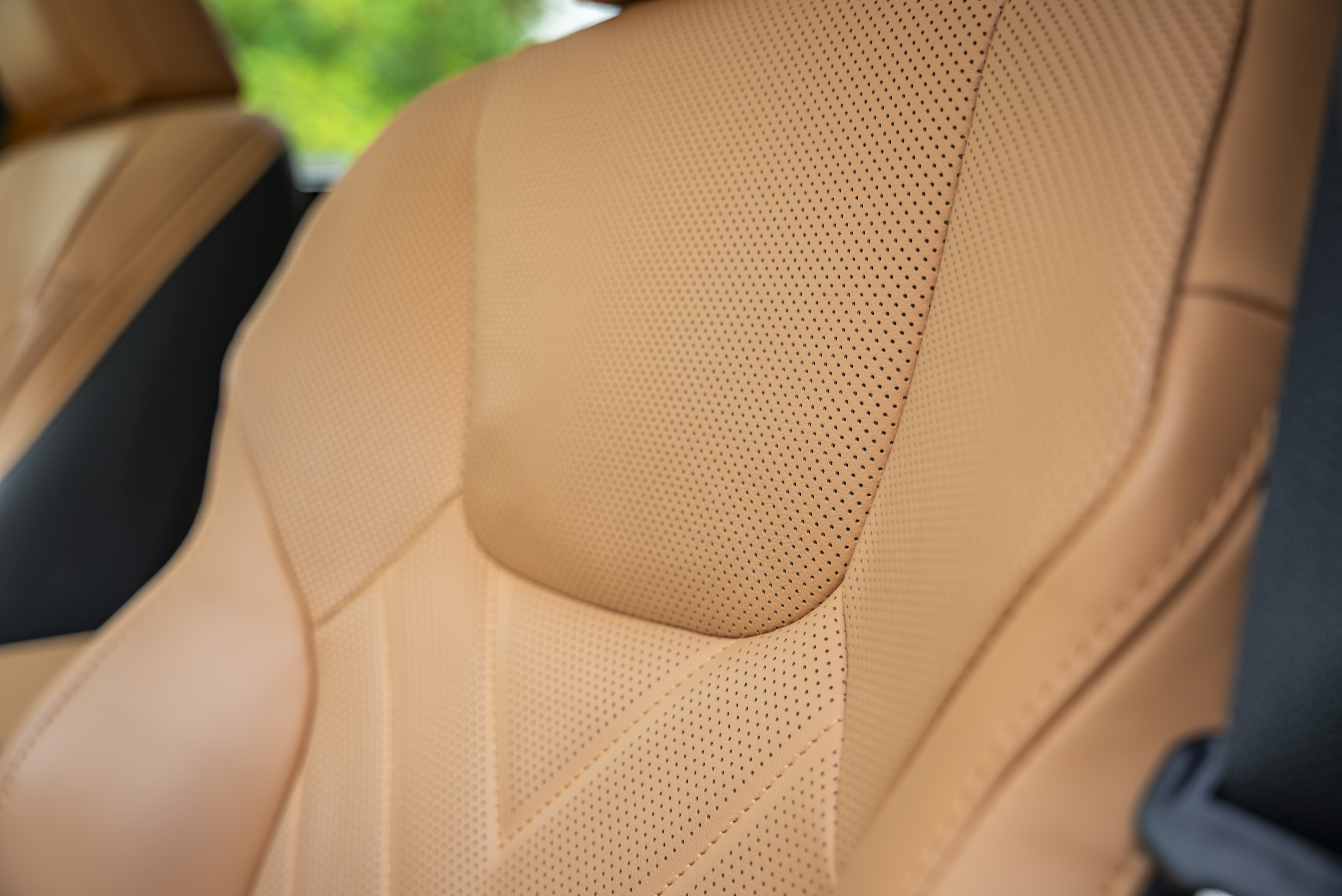 LEXUS NX450H+ NX 450h+ Luxury