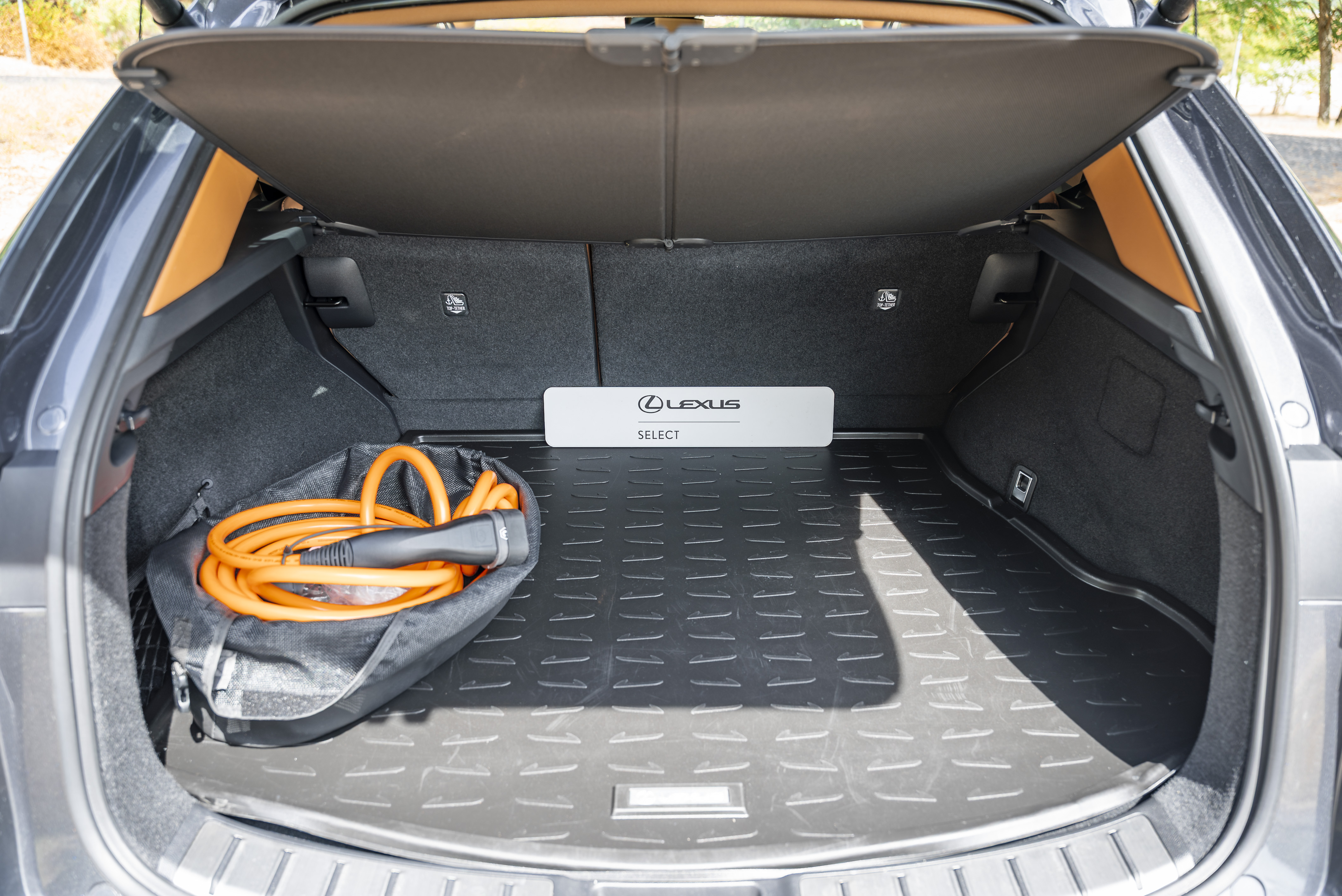 LEXUS NX450H+ NX 450h+ Luxury