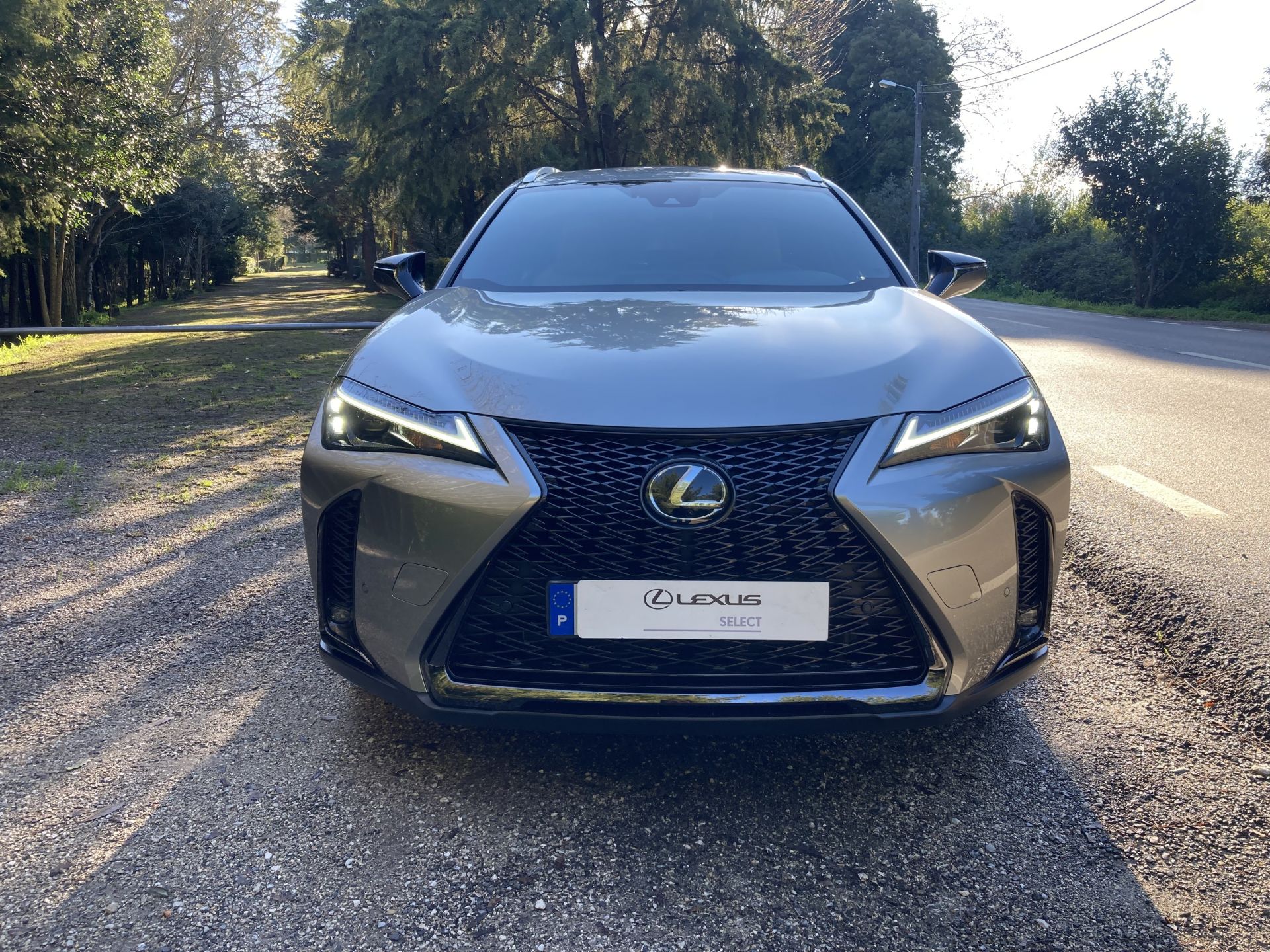 LEXUS UX 250H UX 250h Sport