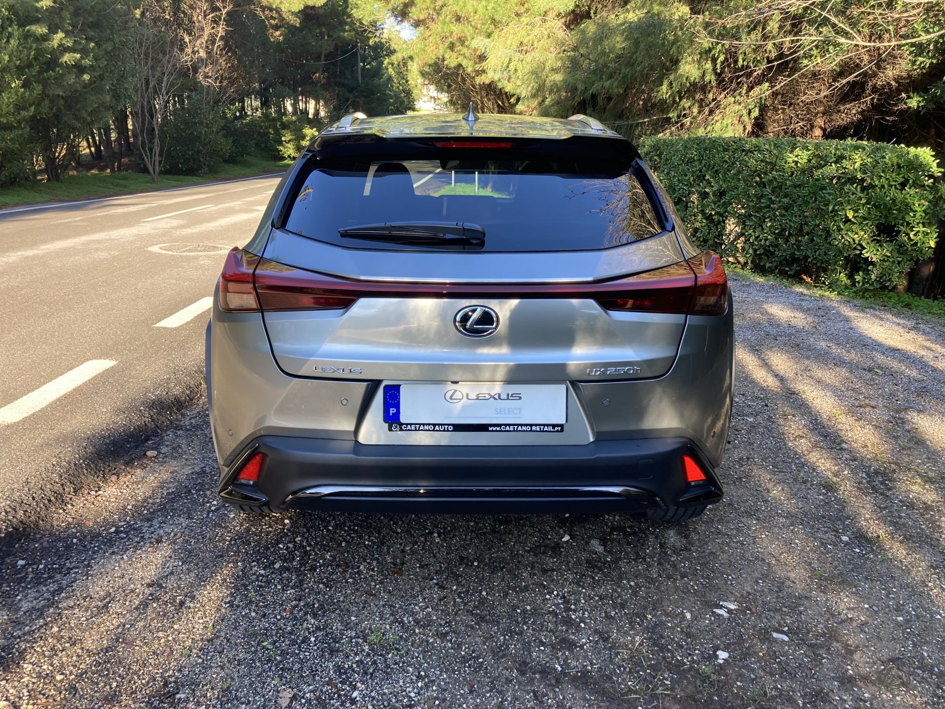 LEXUS UX 250H UX 250h Sport