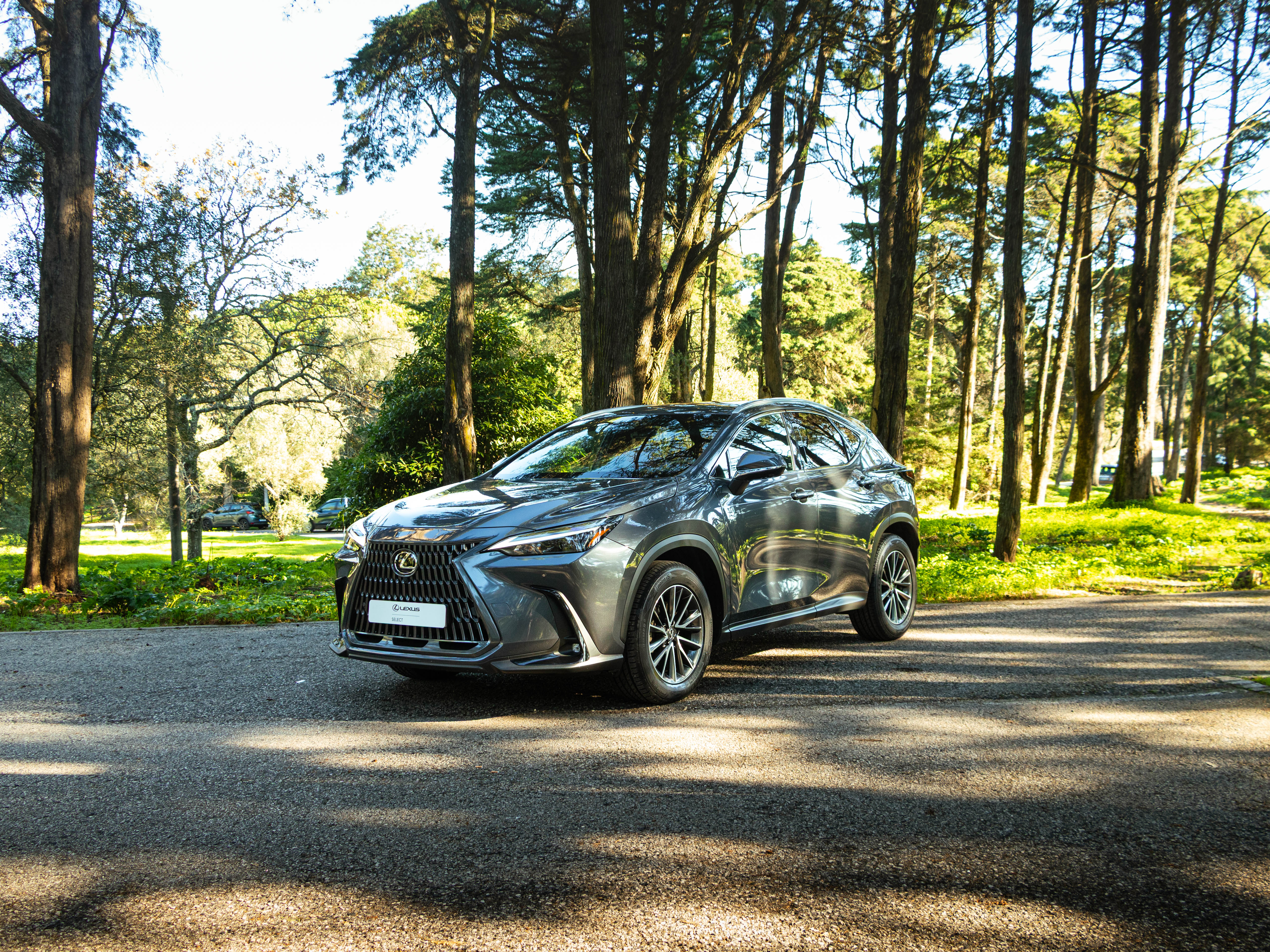 LEXUS NX350H NX 350h Executive Plus