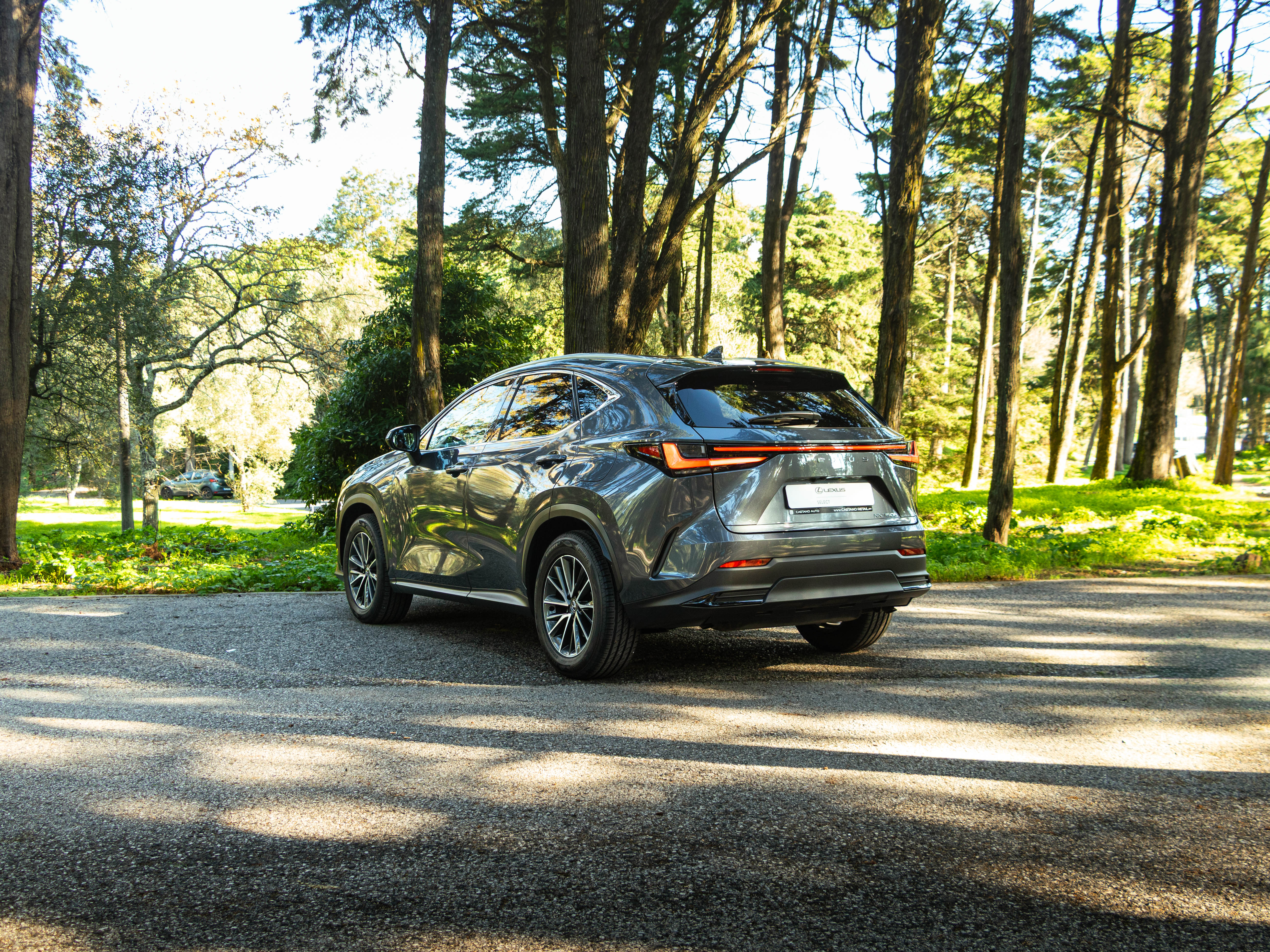 LEXUS NX350H NX 350h Executive Plus