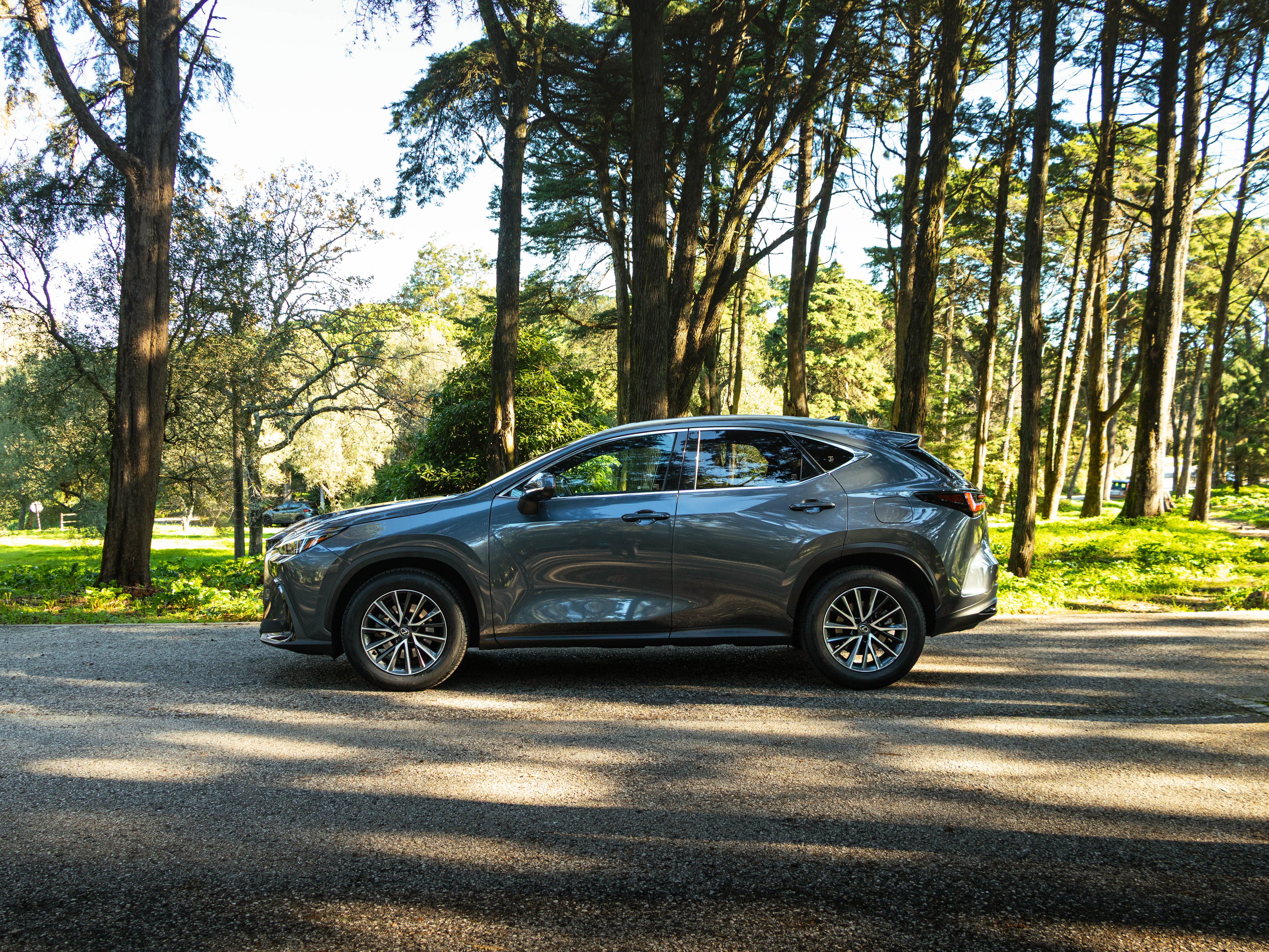 LEXUS NX350H NX 350h Executive Plus