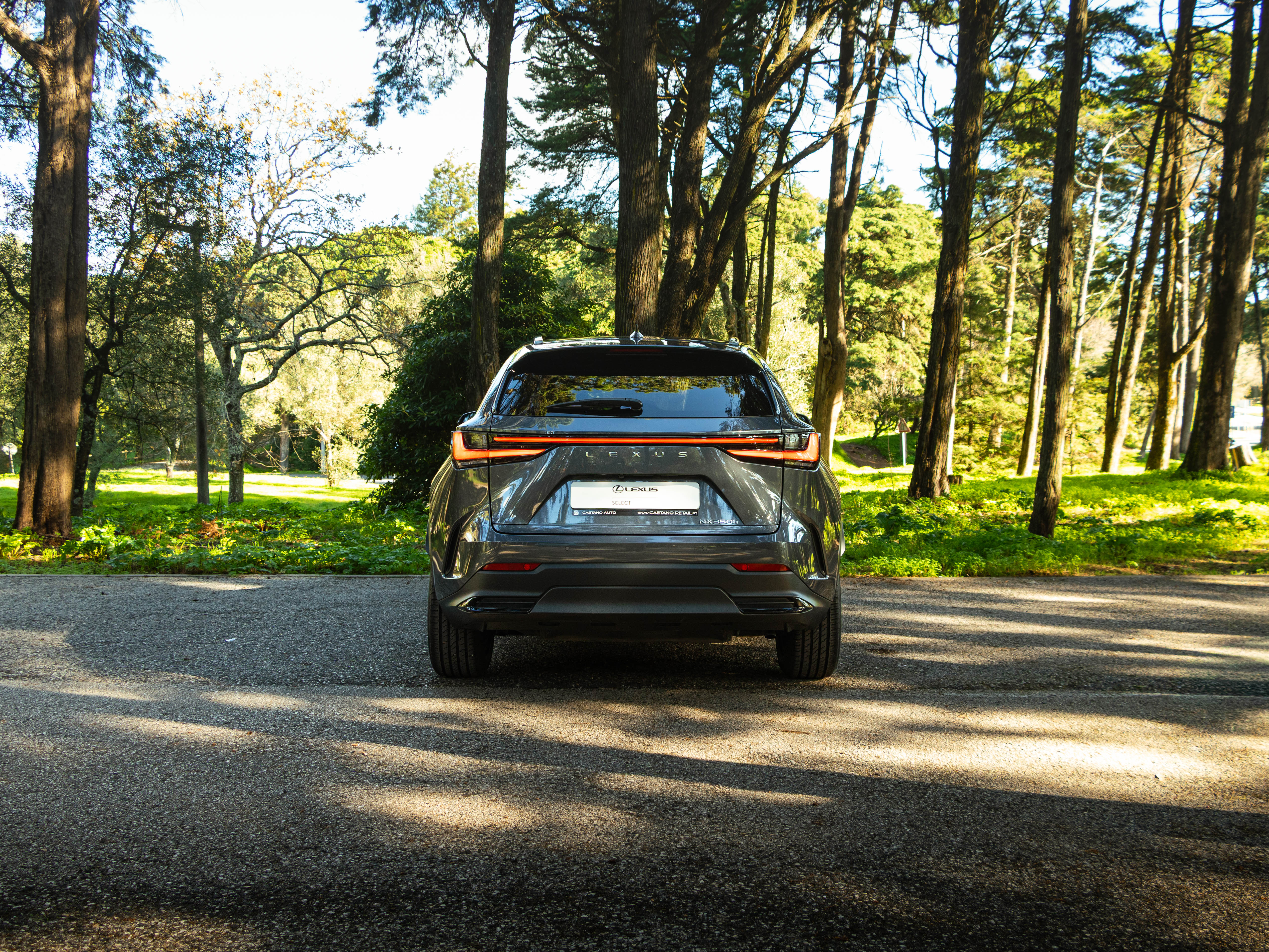 LEXUS NX350H NX 350h Executive Plus