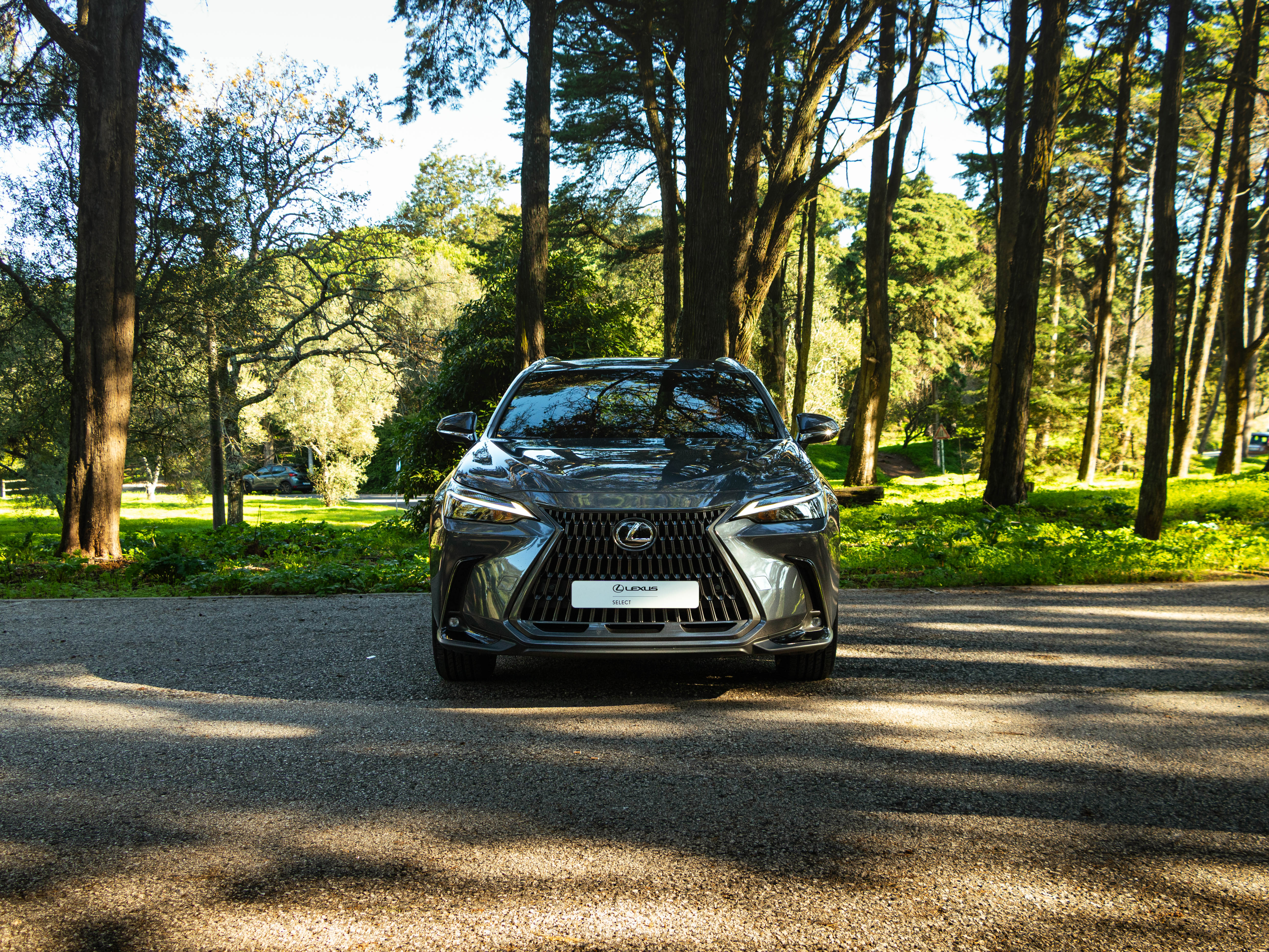 LEXUS NX350H NX 350h Executive Plus