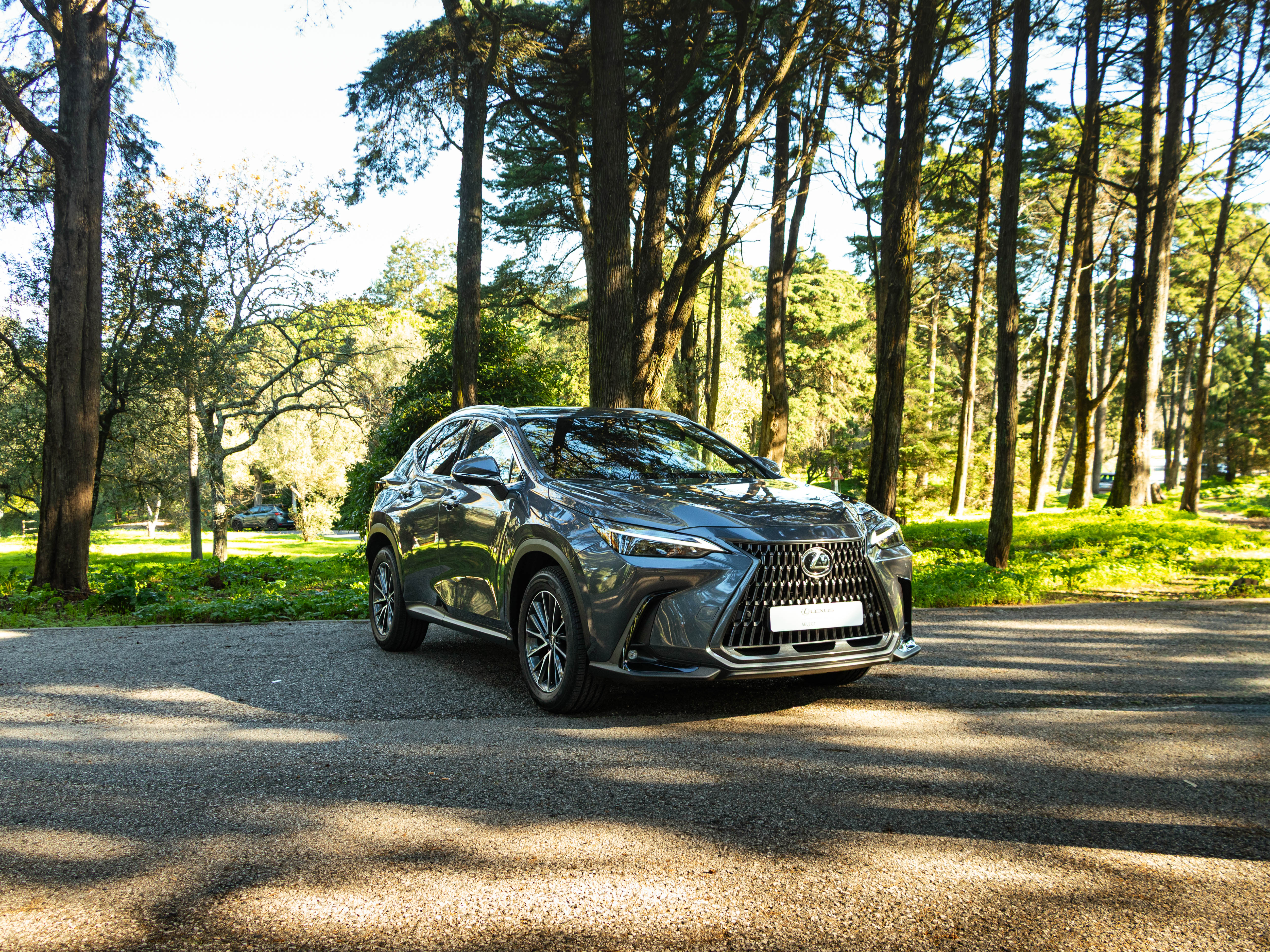 LEXUS NX350H NX 350h Executive Plus