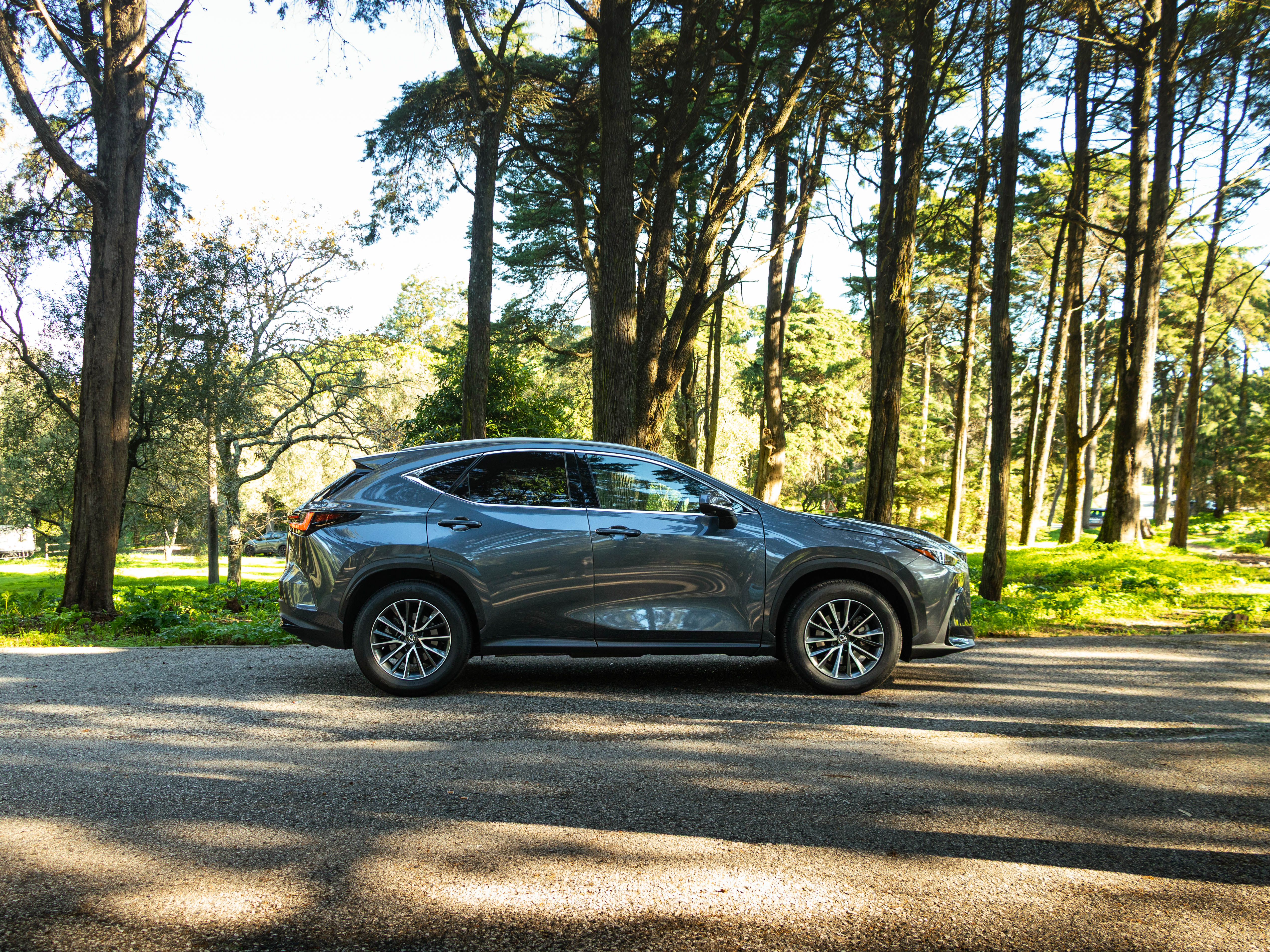 LEXUS NX350H NX 350h Executive Plus