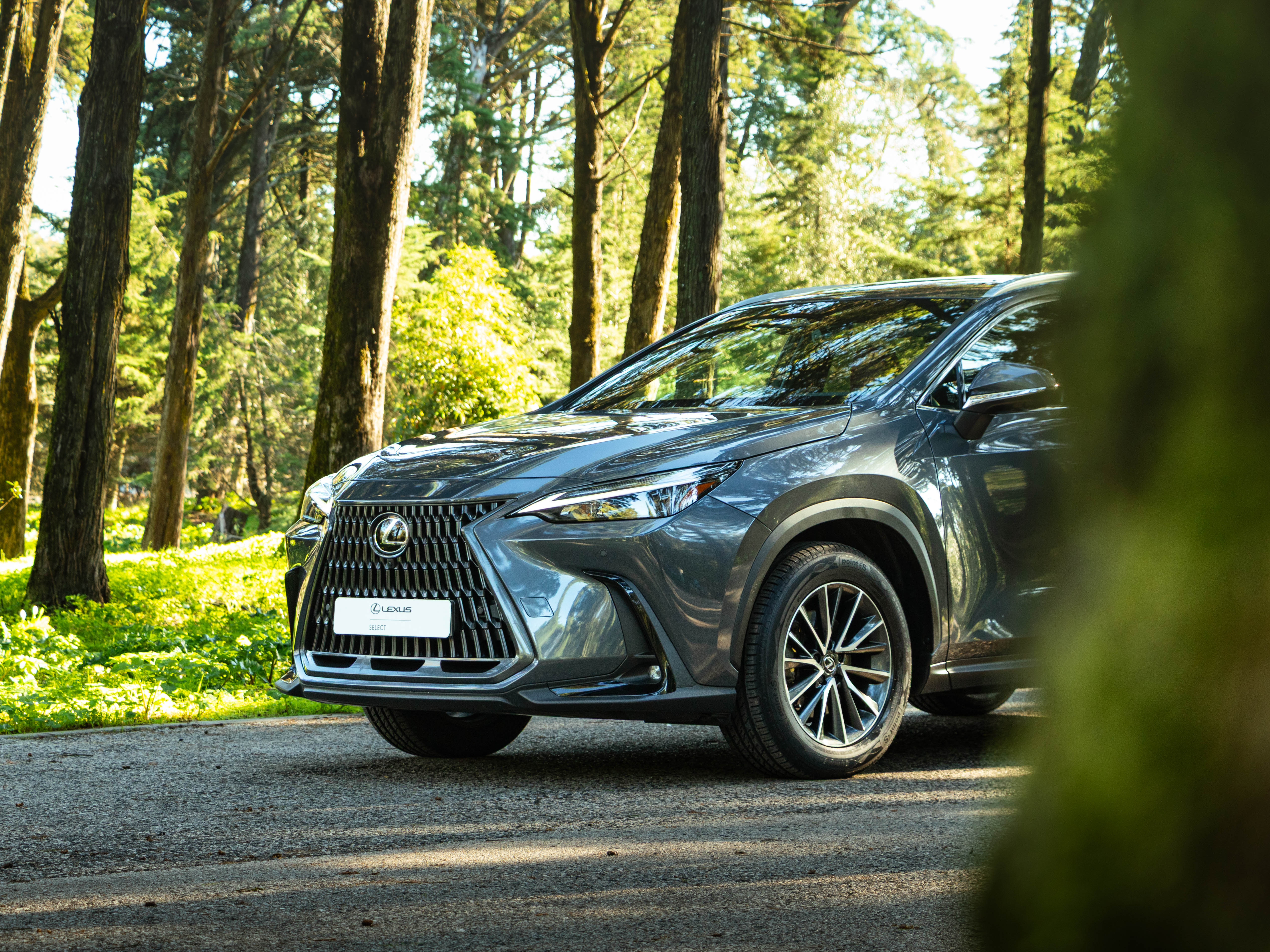 LEXUS NX350H NX 350h Executive Plus