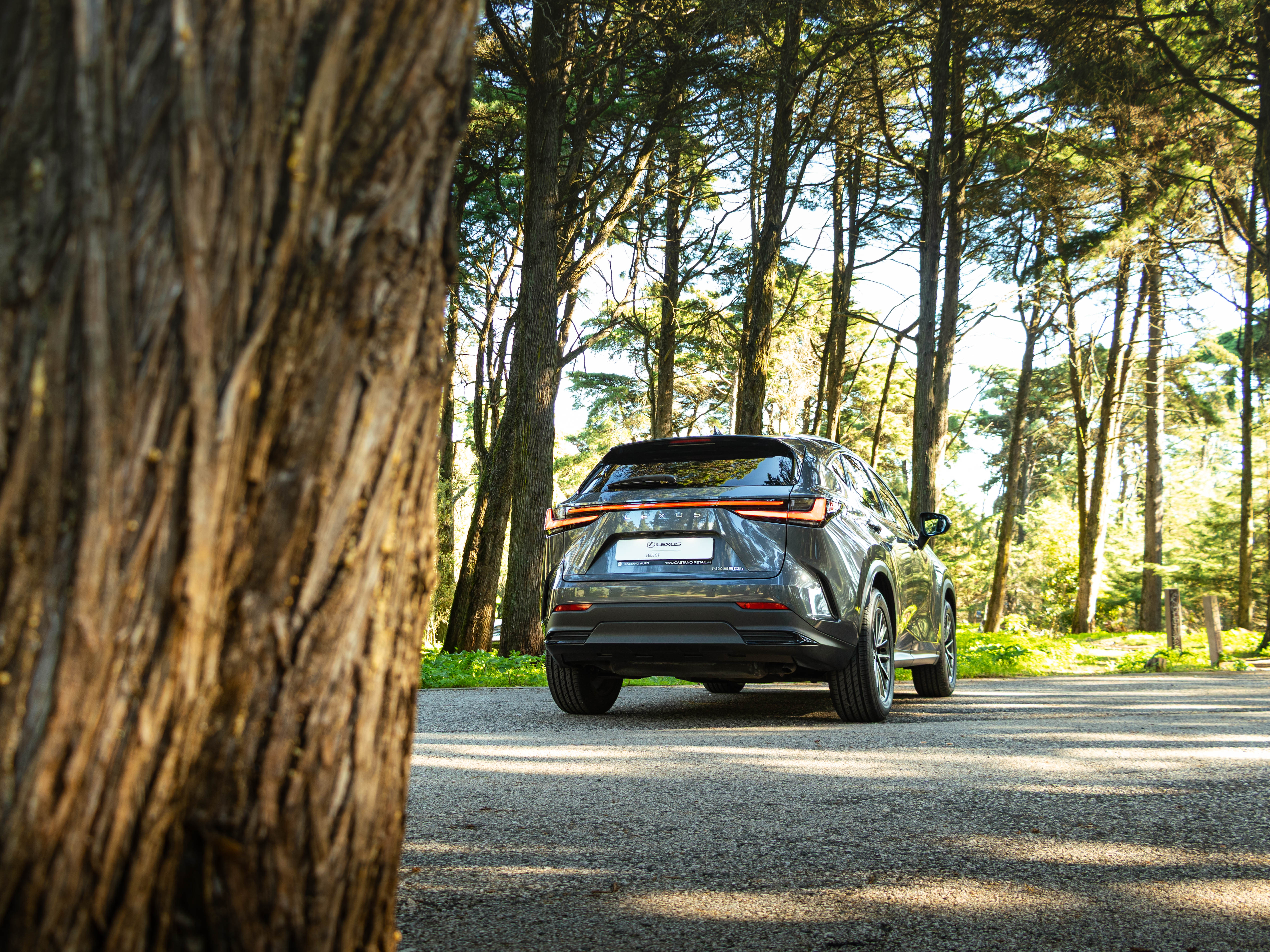 LEXUS NX350H NX 350h Executive Plus