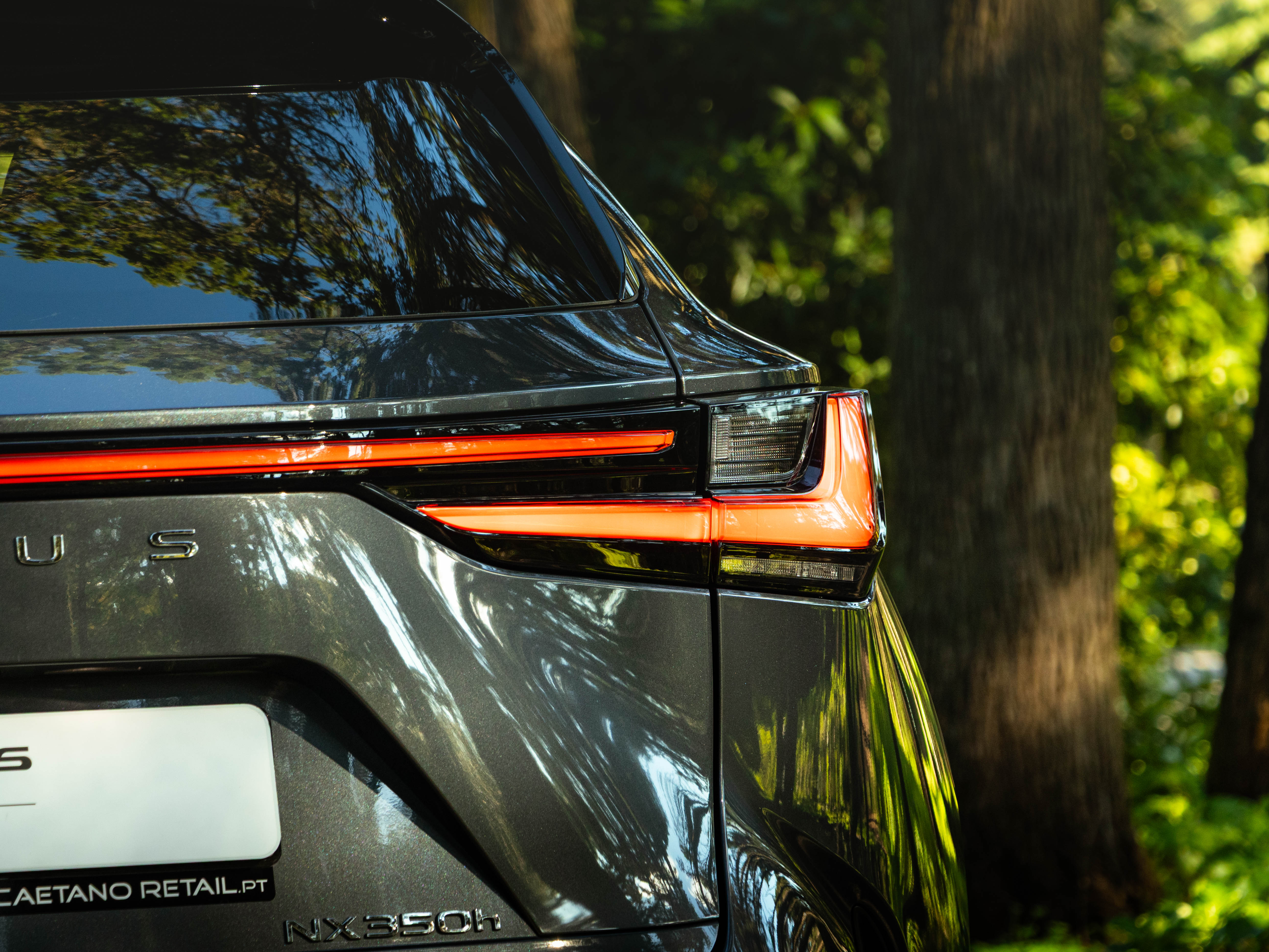 LEXUS NX350H NX 350h Executive Plus