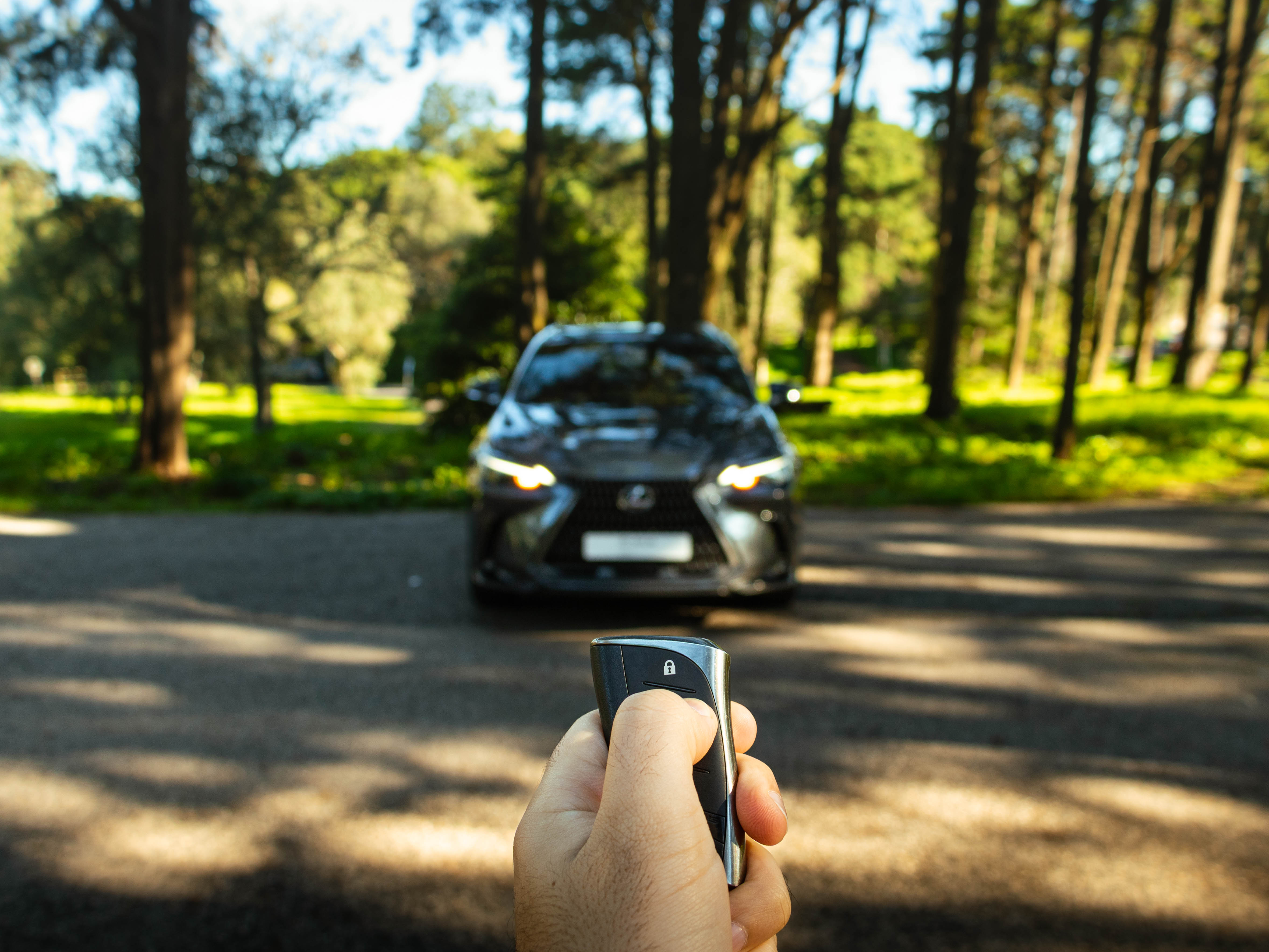 LEXUS NX350H NX 350h Executive Plus
