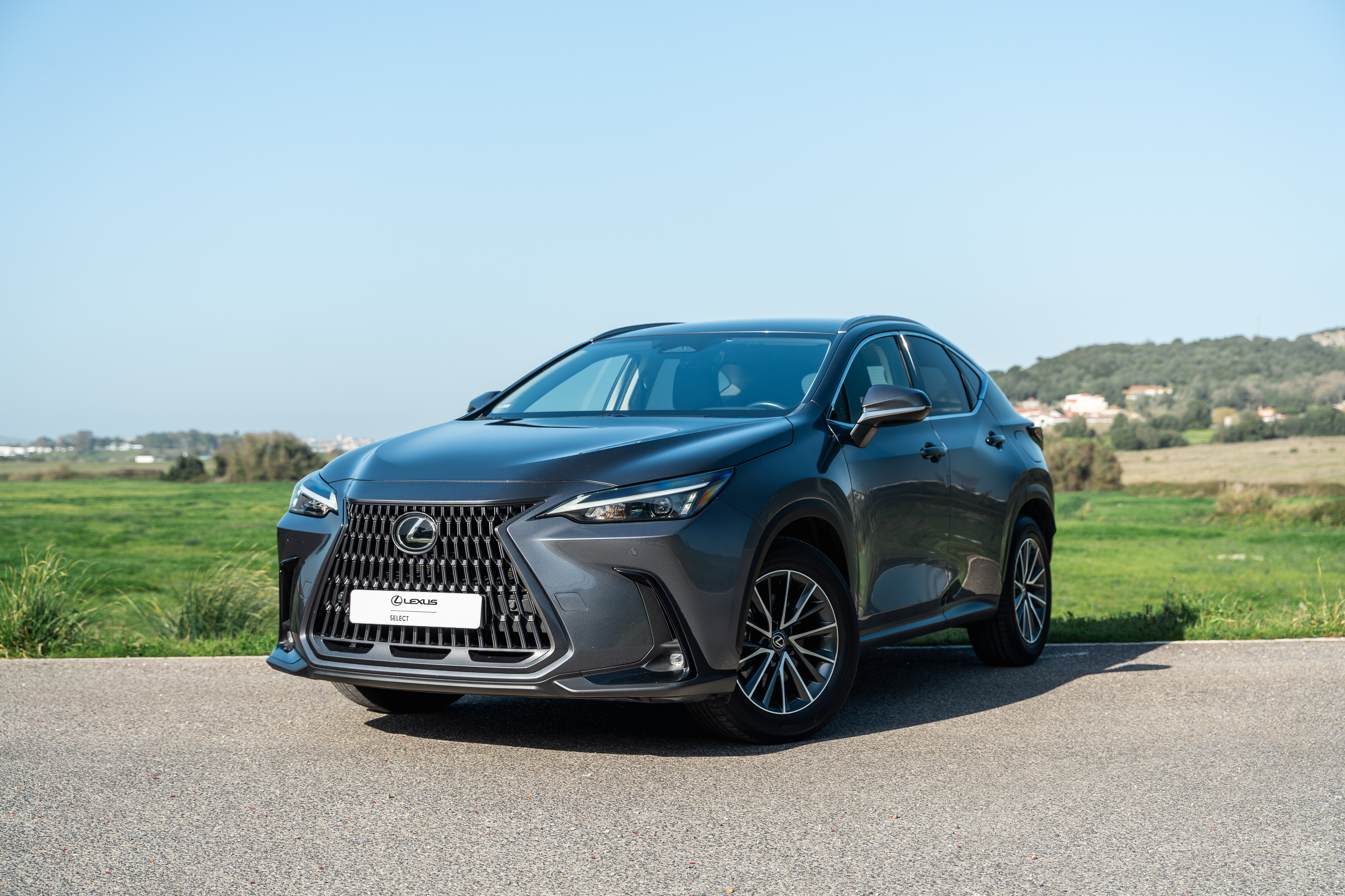 LEXUS NX 300H NX 350h Executive