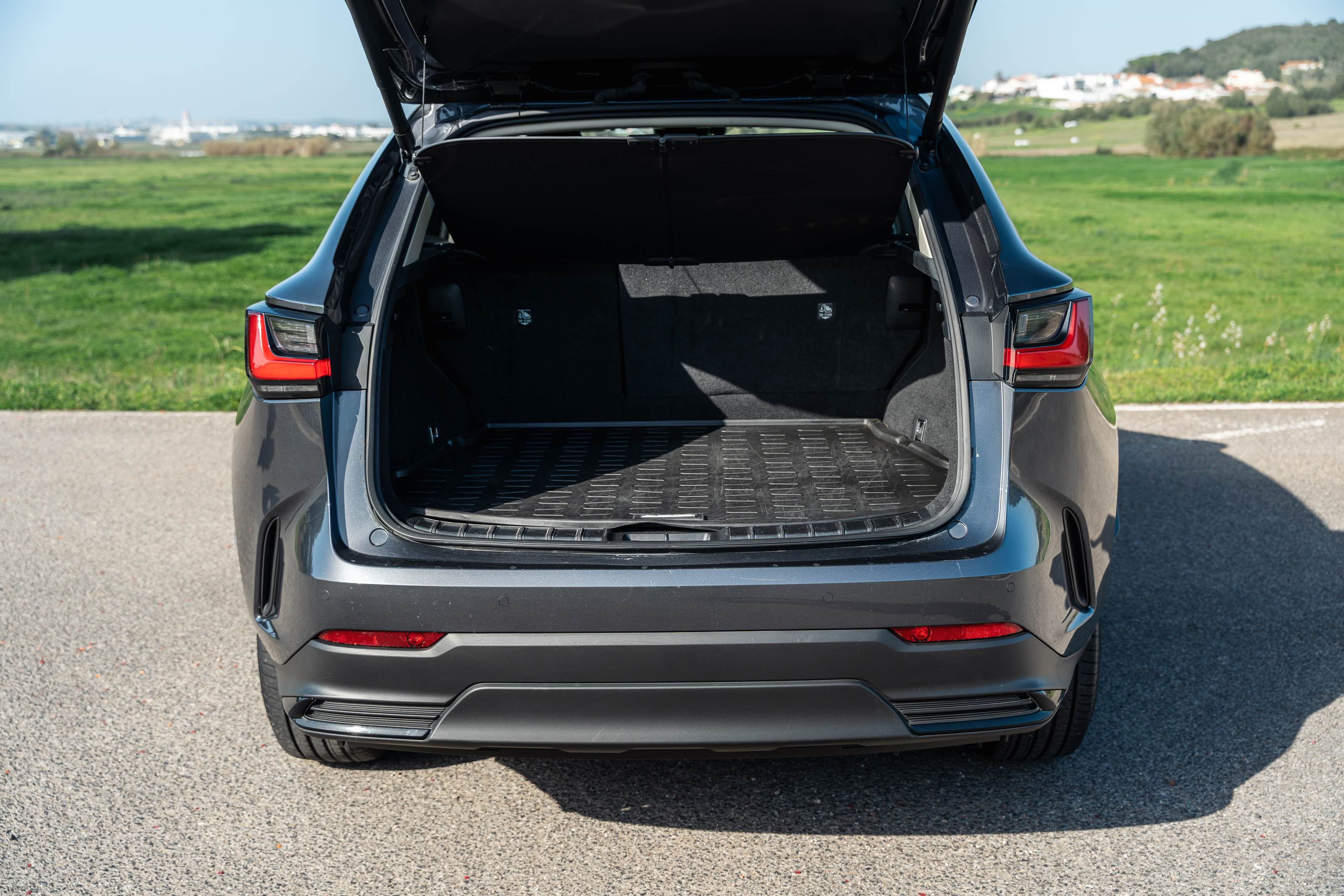 LEXUS NX 300H NX 350h Executive